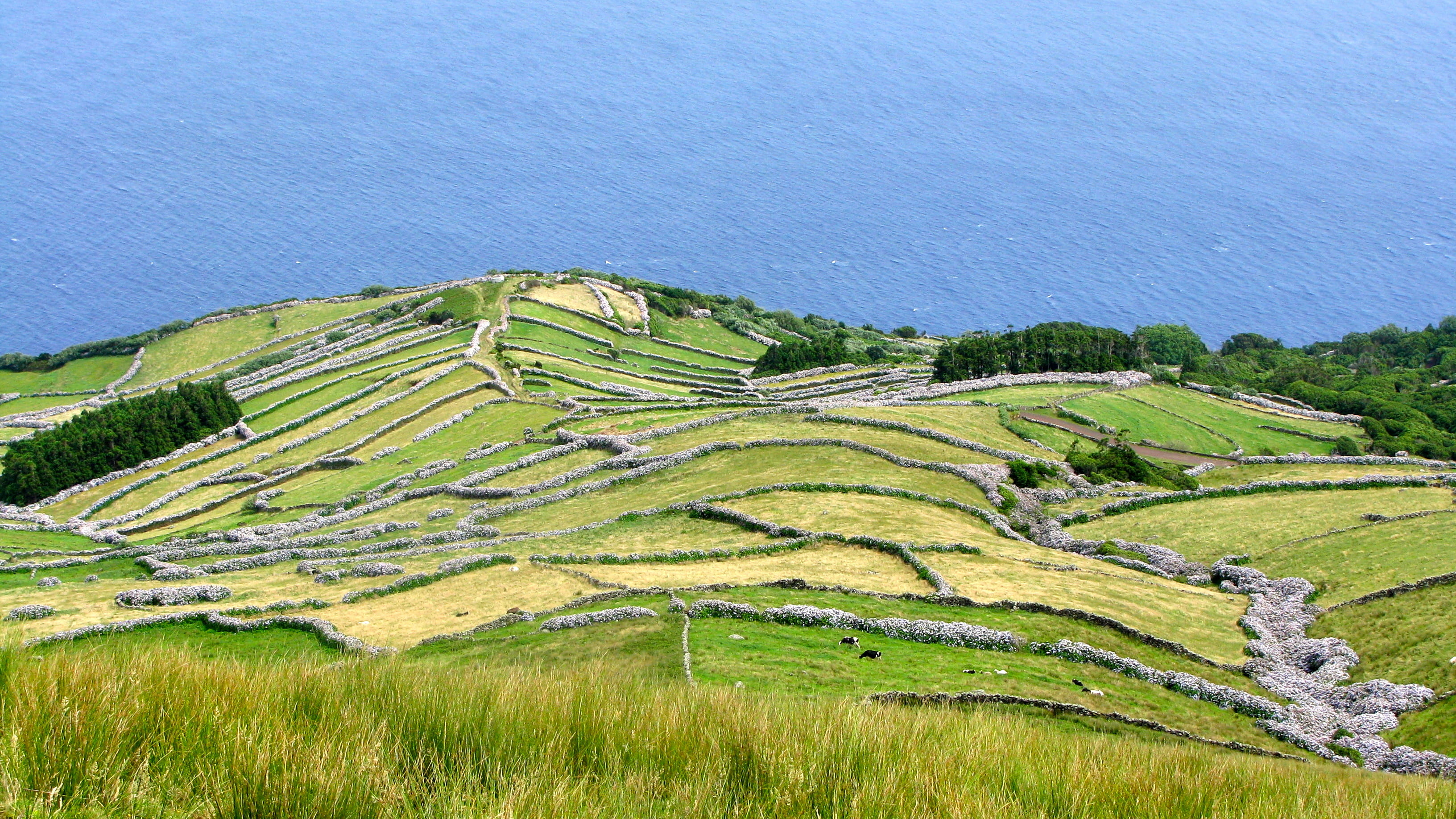 plantation, terrace, azores, acores, portugal, landscape, açores, nature, green color, beauty in nature, agriculture, growth, rural scene, plant, scenics - nature, HD Wallpaper