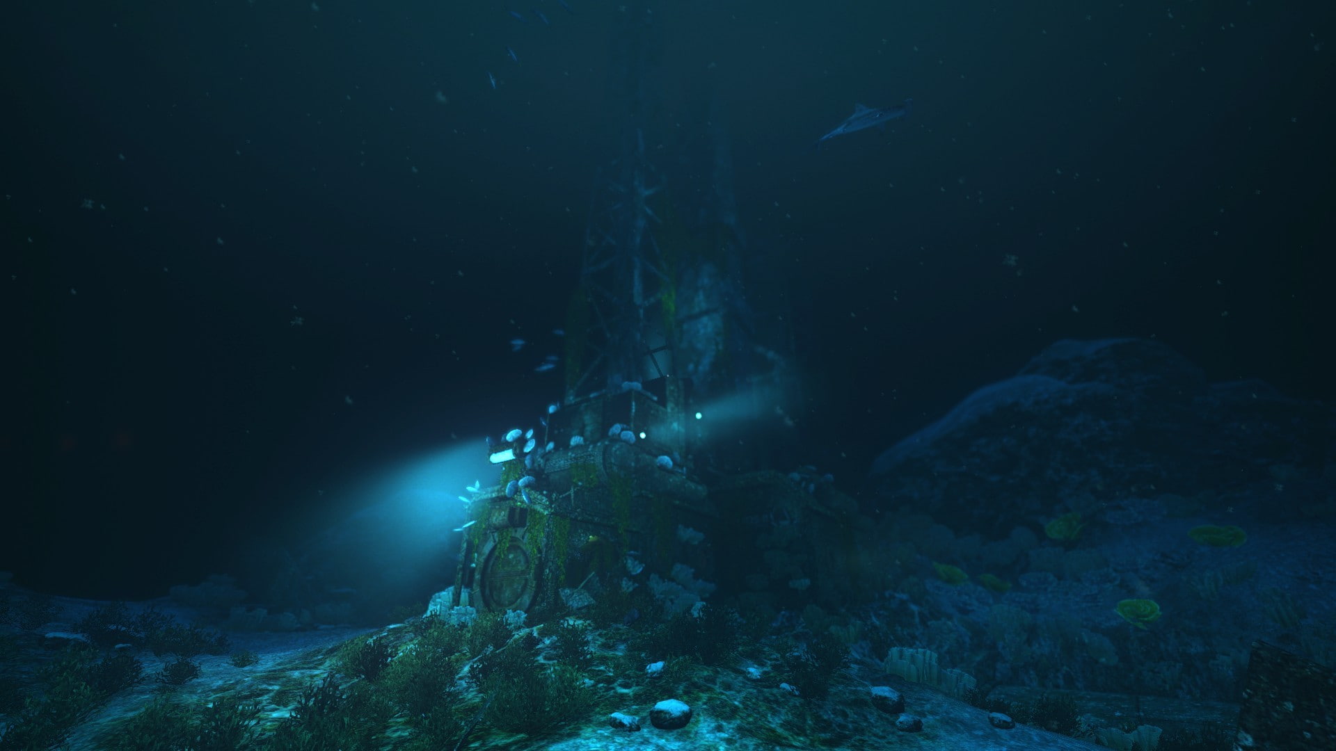 scenics - nature, rock - object, beauty in nature, animal wildlife, 1080P, no people, marine, animals in the wild, Frictional Games, nature, undersea, HD Wallpaper