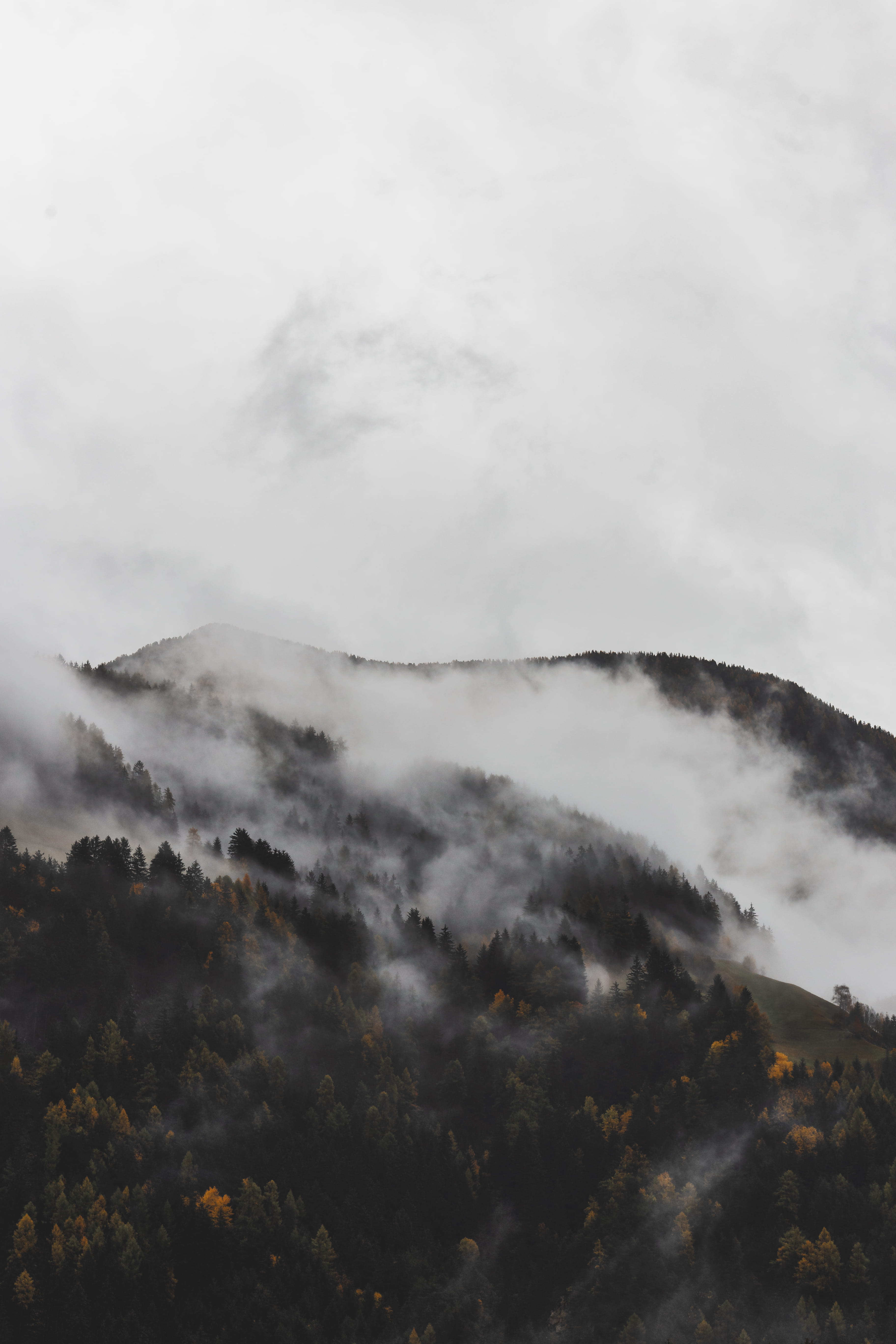 weather, nature, dawn, storm, environment, cloud - sky, high angle shot, day, landscape, mountain peak, tree, mist, sky, power in nature, non-urban scene, Phone HD Wallpaper