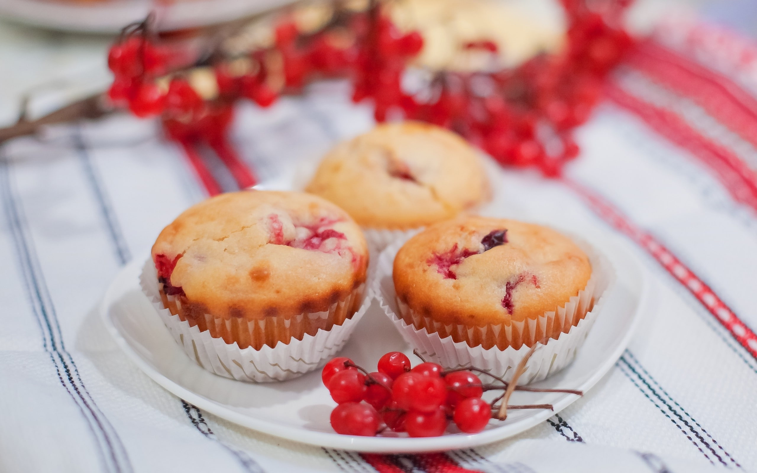 photography, Plate, 2560x1600, Muffin, 2K, HD WALLAPERS, HD Wallpaper