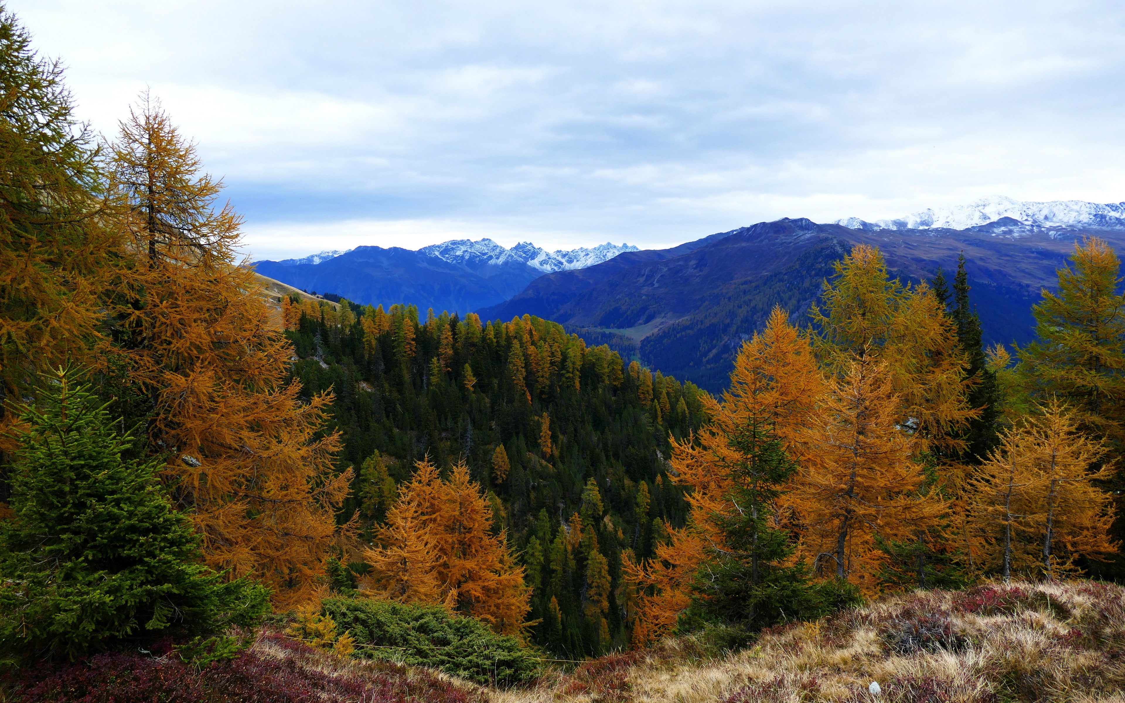 autumn, 4K, mountains backgrounds, download 3840x2400 forest, trees, forest, HD Wallpaper