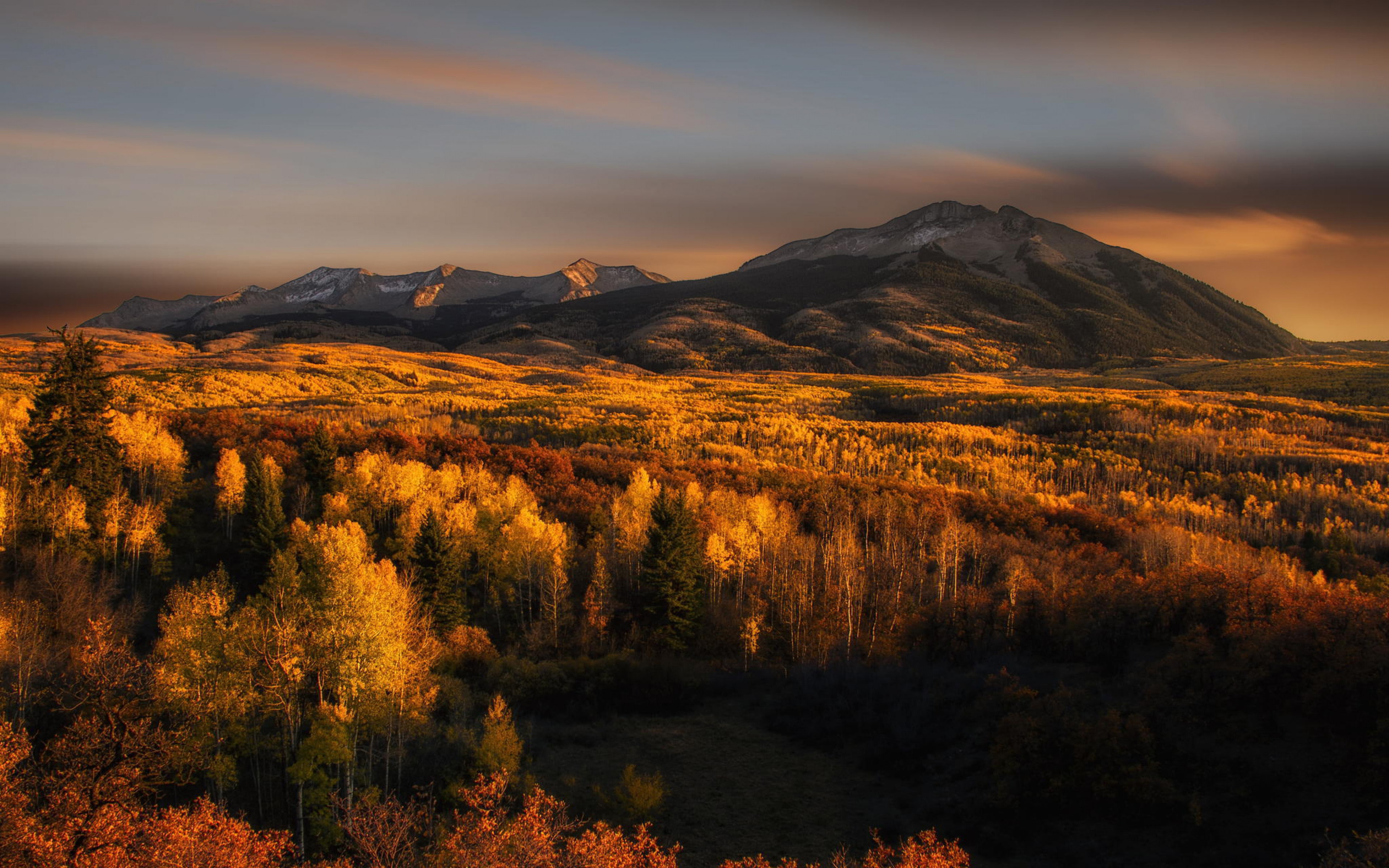 download 3840x2400 forest, forest, sky, 4K, mountains backgrounds, trees, autumn, HD Wallpaper