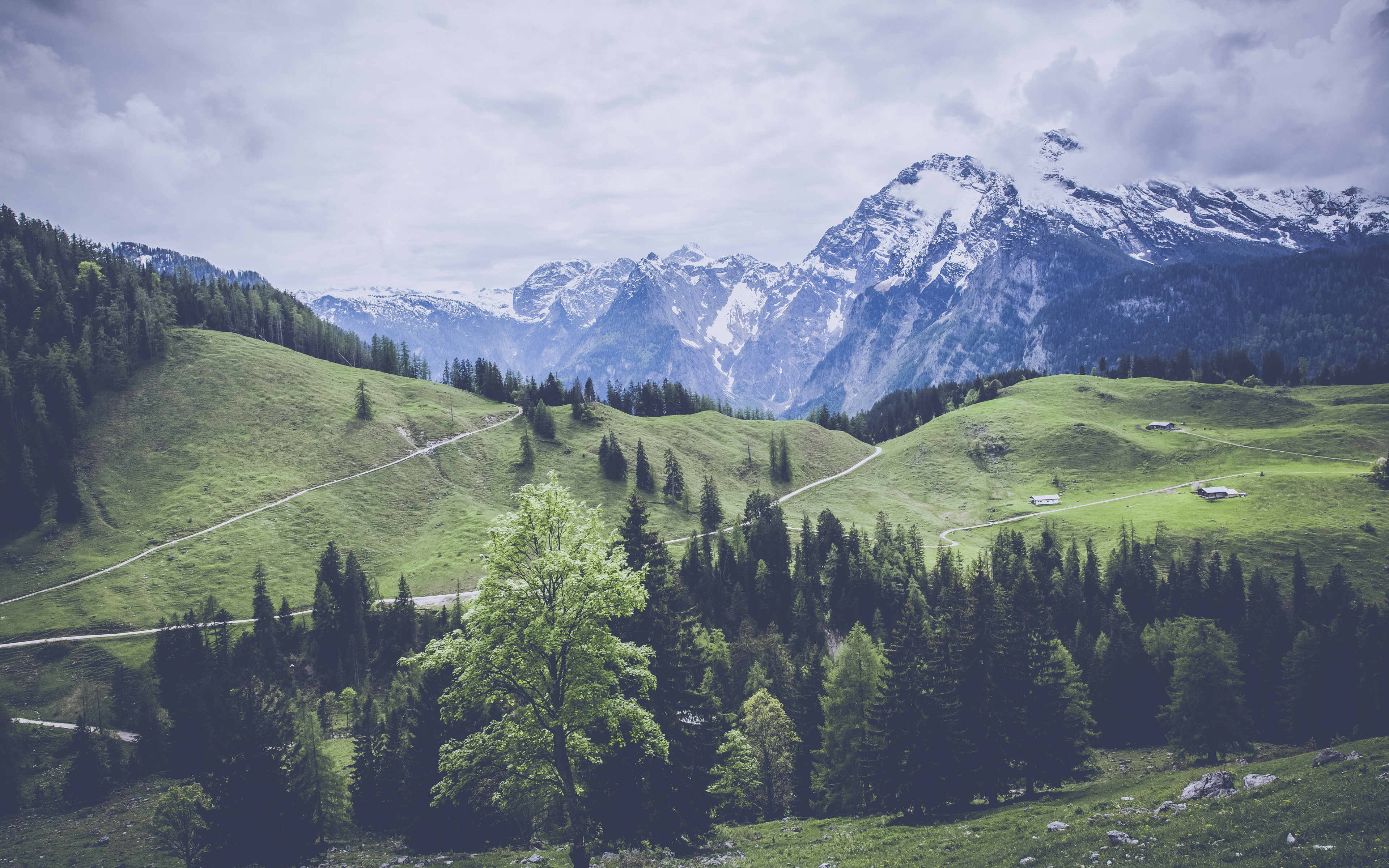 download 3840x2400 mountains, grass backgrounds, Forest, mountains, pasture, meadow, 4K, HD Wallpaper
