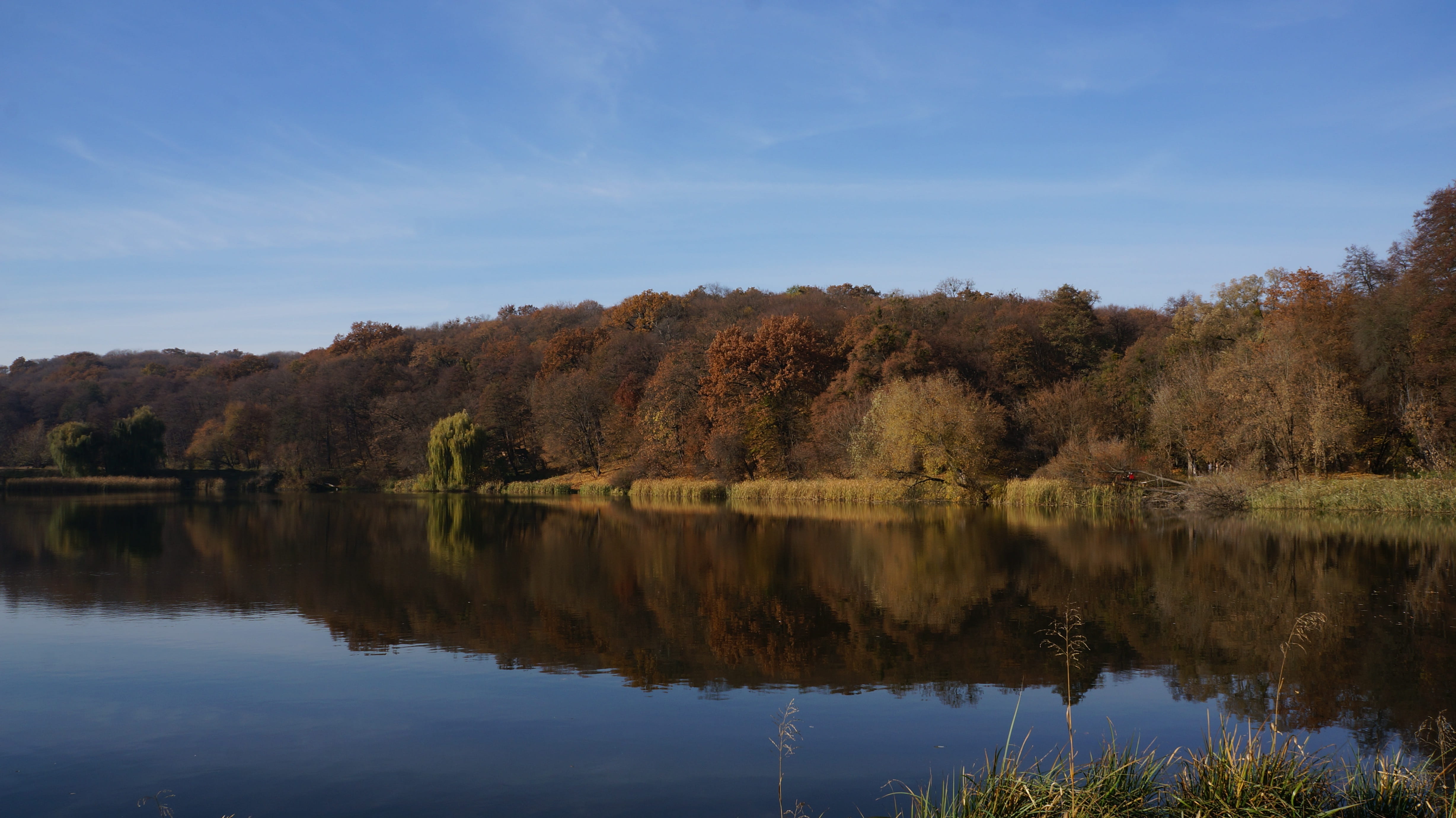 tranquil scene, plant, scenics - nature, non-urban scene, water, ukraine, tranquility, Landscape, waterfront, standing water, forest, reflection, smooth surface, HD Wallpaper