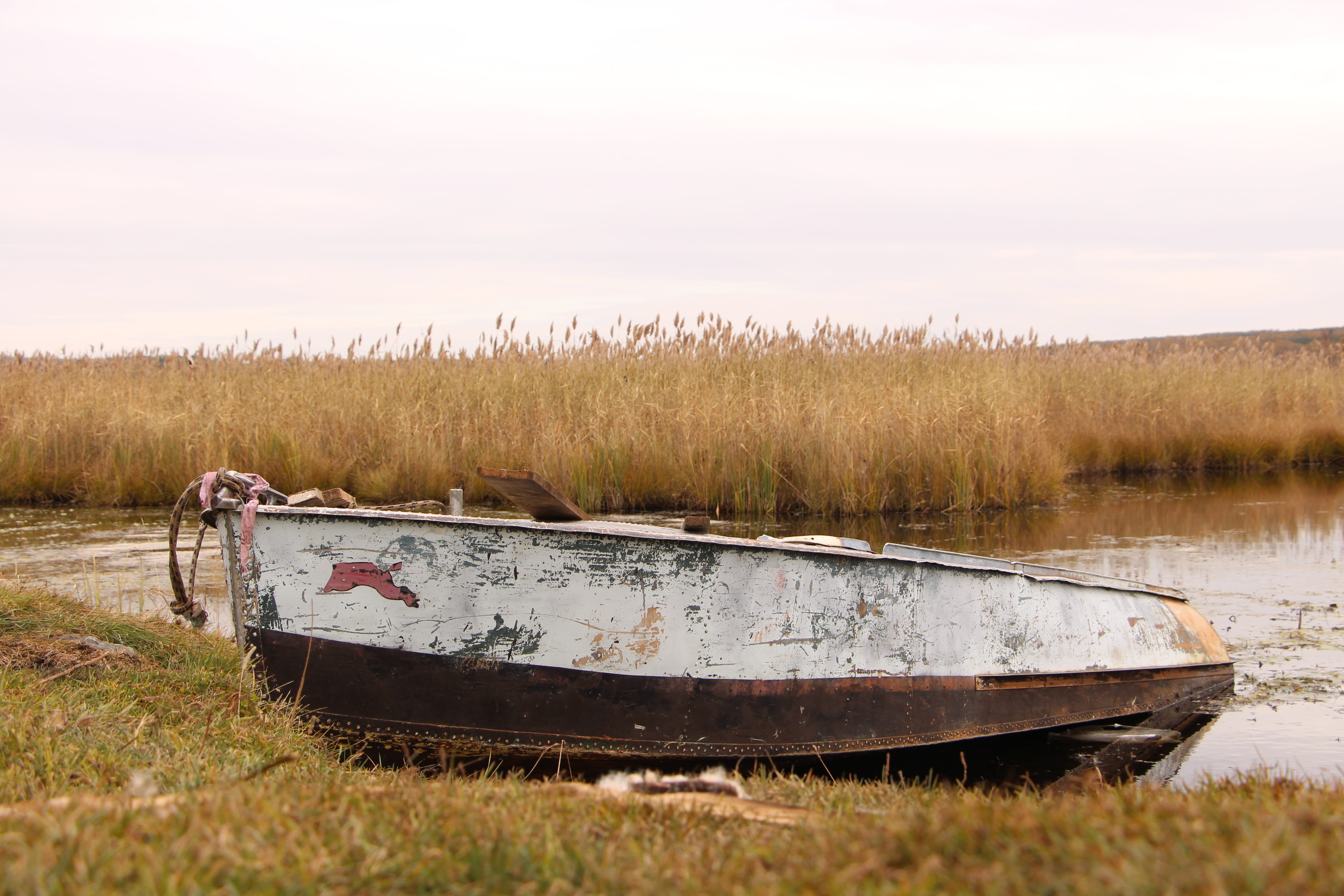 river, damaged, landscape, abandoned, plant, grass, russia, boats, obsolete, boat, metal, lake, sky, water, fishing boat, field, water transport, old boat, HD Wallpaper