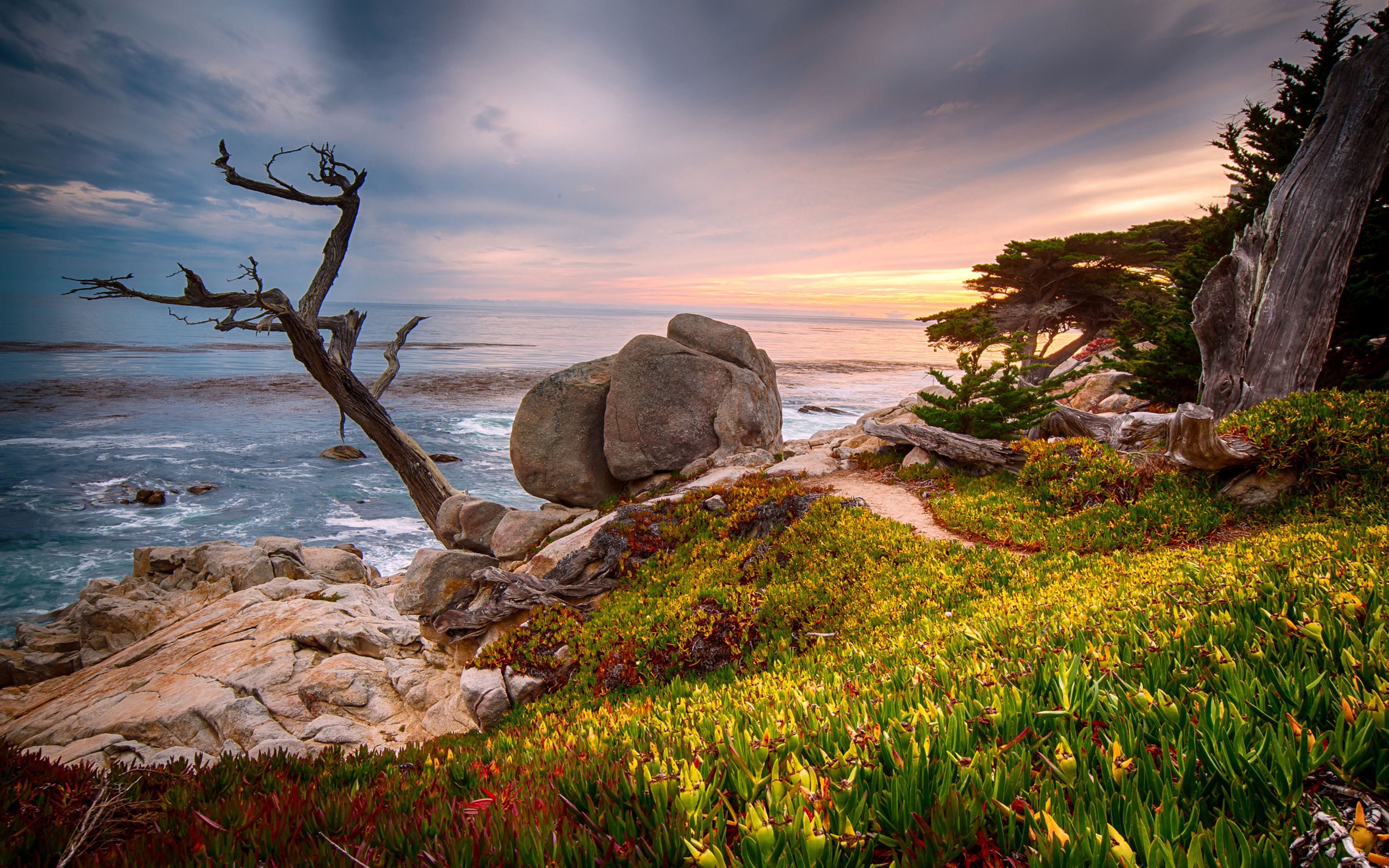 horizon over water, land, 4K, beach, hd, scenics - nature, rock - object, environment, outdoors, laptop, monterey, sun, sky, city, seascape, water, plant, HD Wallpaper