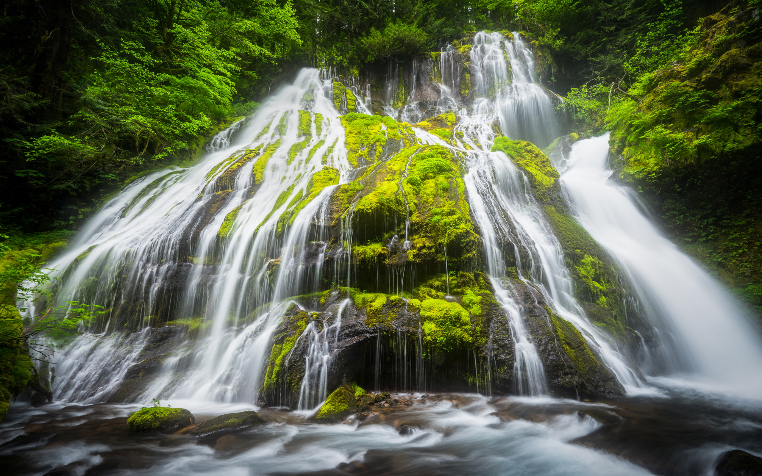 waterfall, computer, creek, falls, rocky, hd, beautiful, panther, phones, green, desktop, moss, washington, 2K, mobile, HD Wallpaper