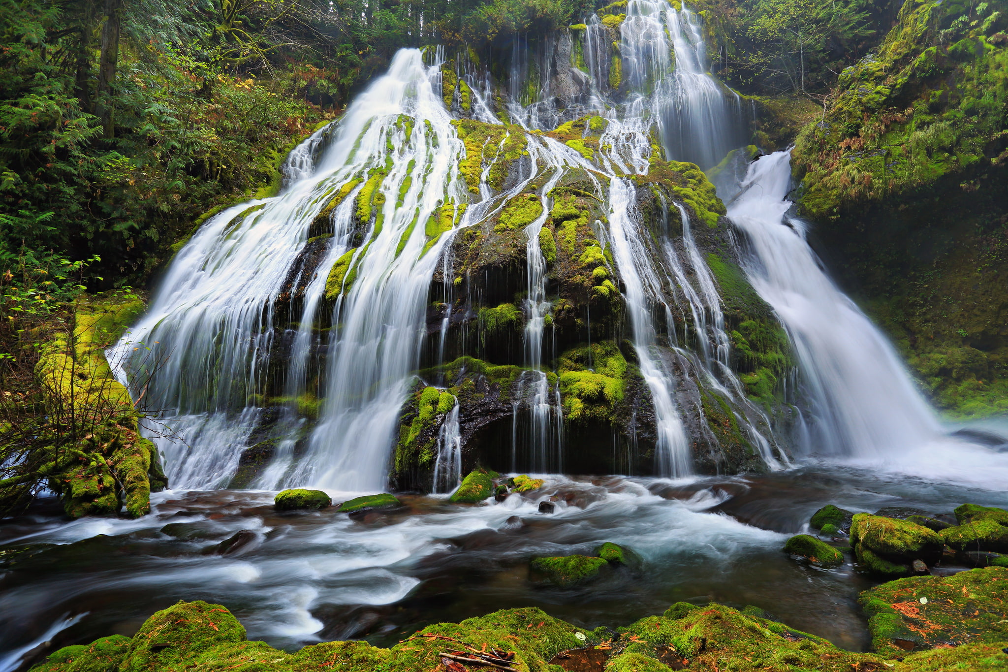 1080P, Oregon, stones, moss, Columbia River Gorge, Panther Creek Falls, HD Wallpaper