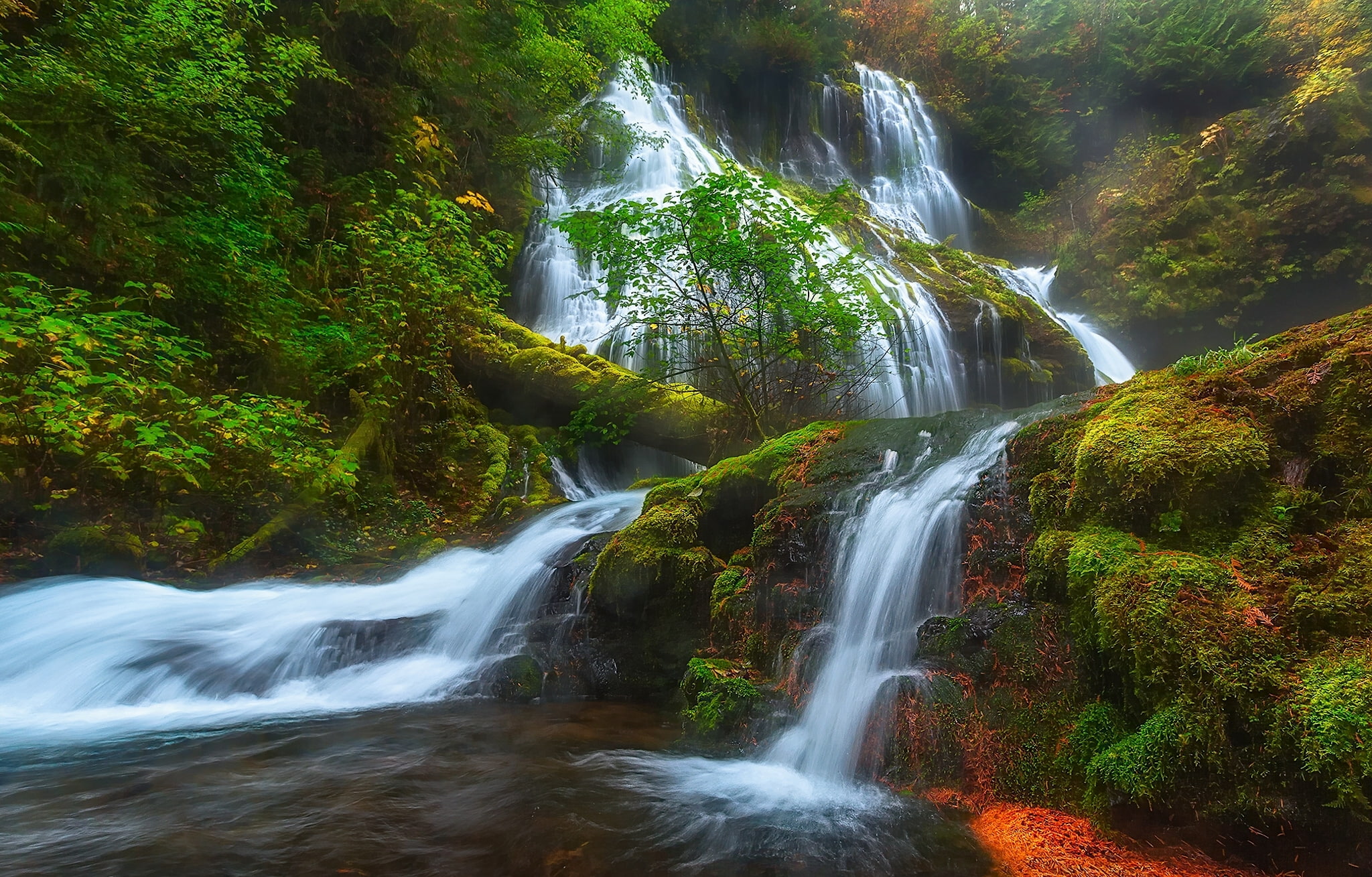 moss, Washington, Columbia River Gorge, 1080P, the Columbia river gorge, waterfall, Skamania, Panther Creek Falls, forest, cascade, HD Wallpaper