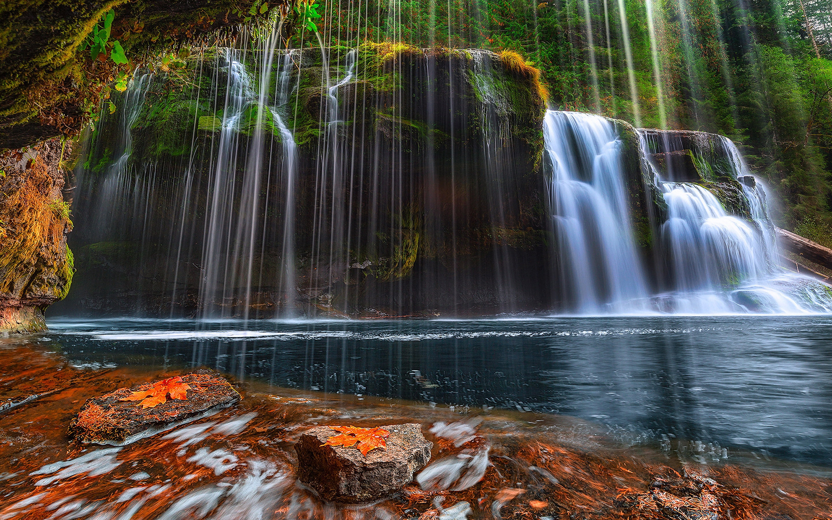 waterfall, outdoors, forest, tree, non-urban scene, hd, flowing water, united, flowing, beauty in nature, 2K, falls, washington, rainforest, splashing, HD Wallpaper