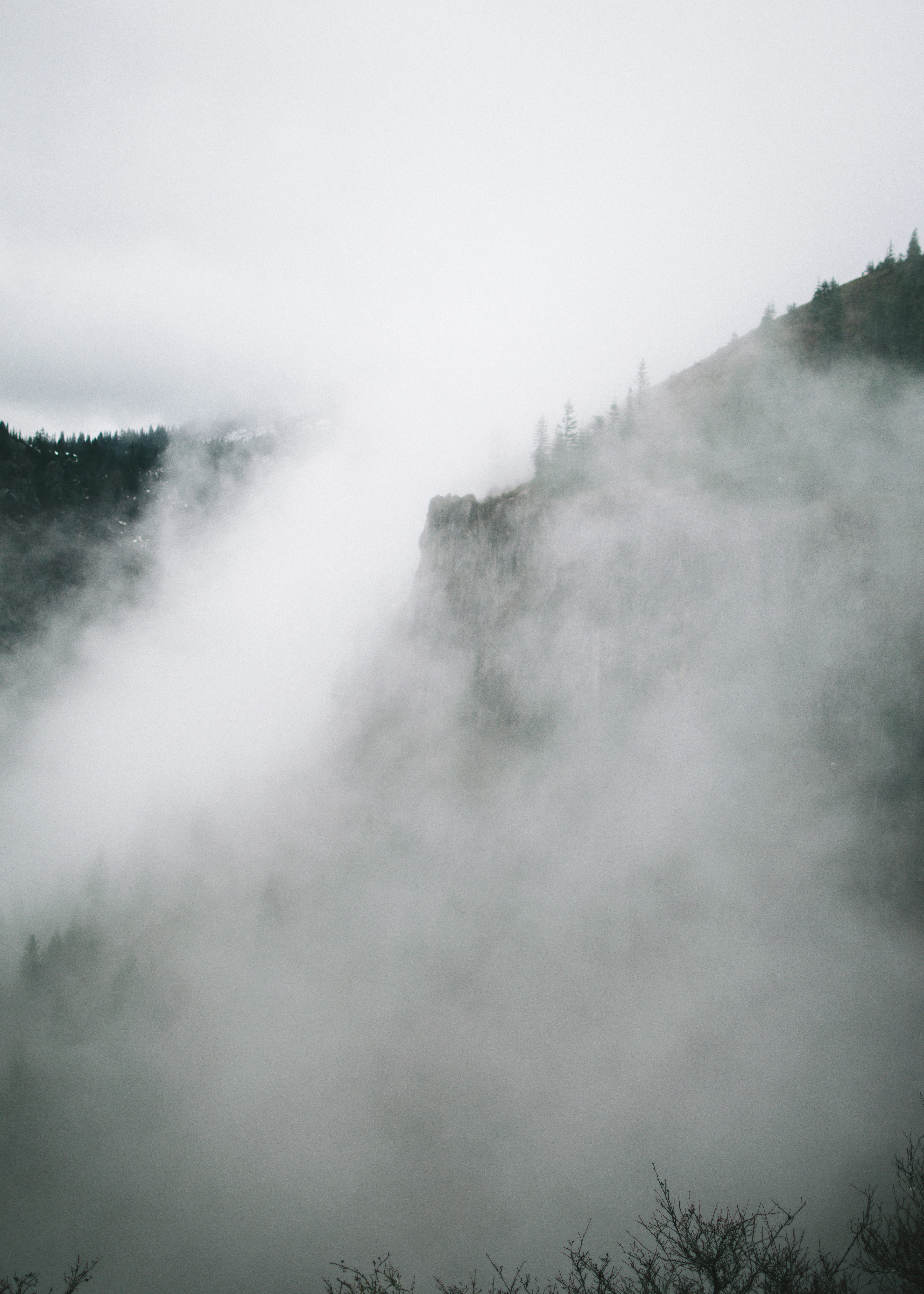 trees, land, day, smog, no people, beauty in nature, tranquil scene, tree, cloud - sky, plant, sky, 5K, outdoors, scenics - nature, landscape, remote, Phone HD Wallpaper