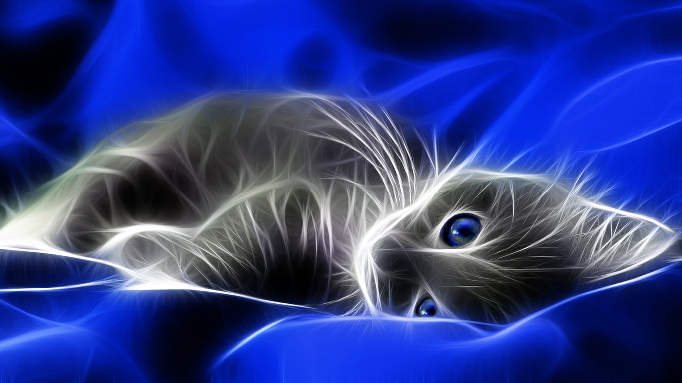 eyes, fractalius, art, x, animals, hd, Blue, cats, grey, spirit, kittens, 720P, HD Wallpaper