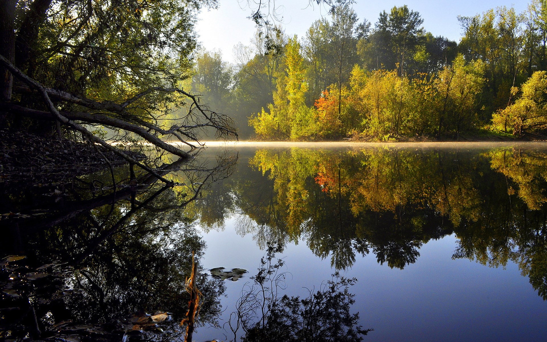 tranquility, reflection, waterfront, reflection lake, scenics - nature, 1080P, water, windows backgrounds nature for pc 1920x1200, change, land, plant, HD Wallpaper