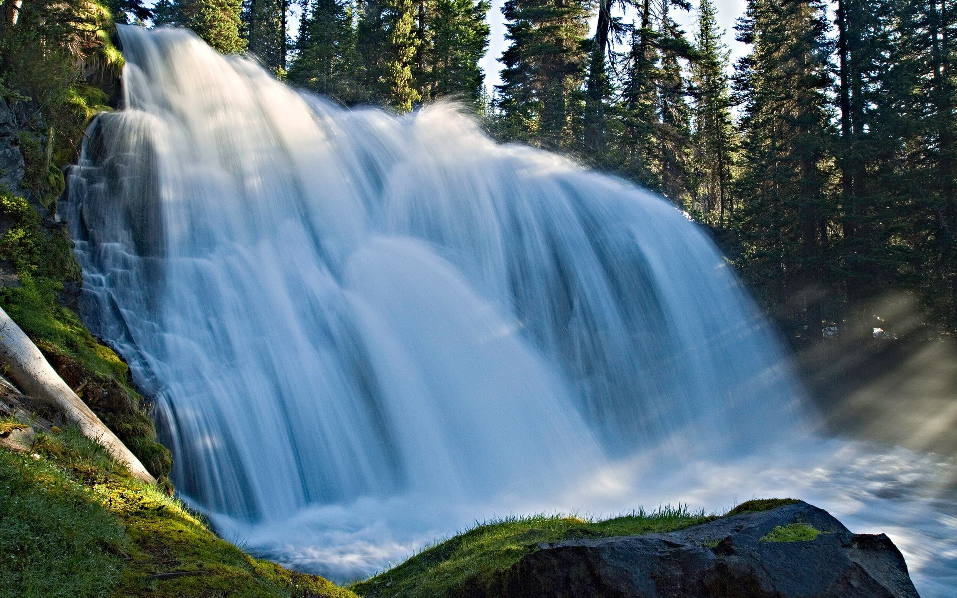 1080P, windows backgrounds nature for pc 1920x1200, HD Wallpaper