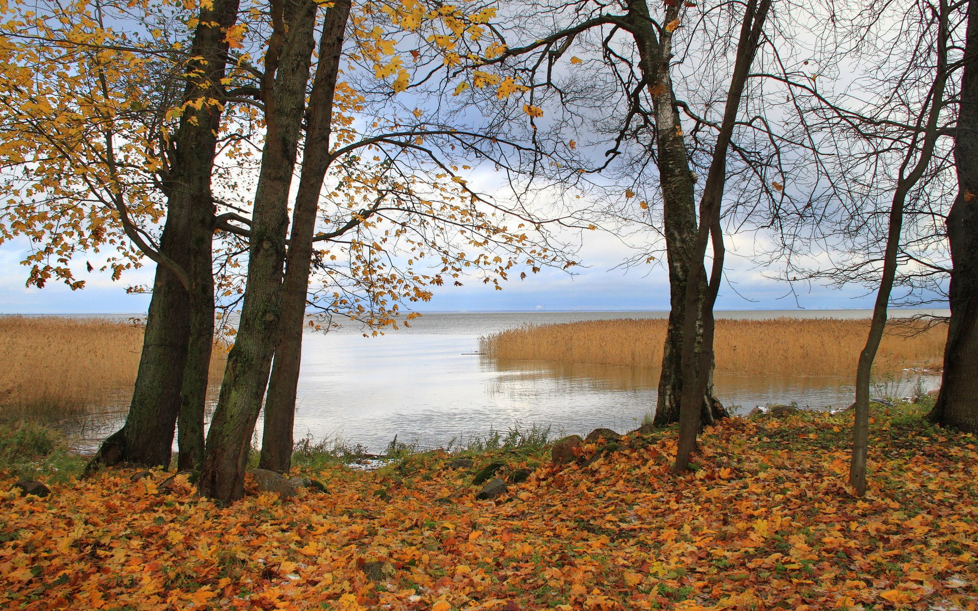 windows backgrounds nature for pc 1920x1200, 1080P, HD Wallpaper
