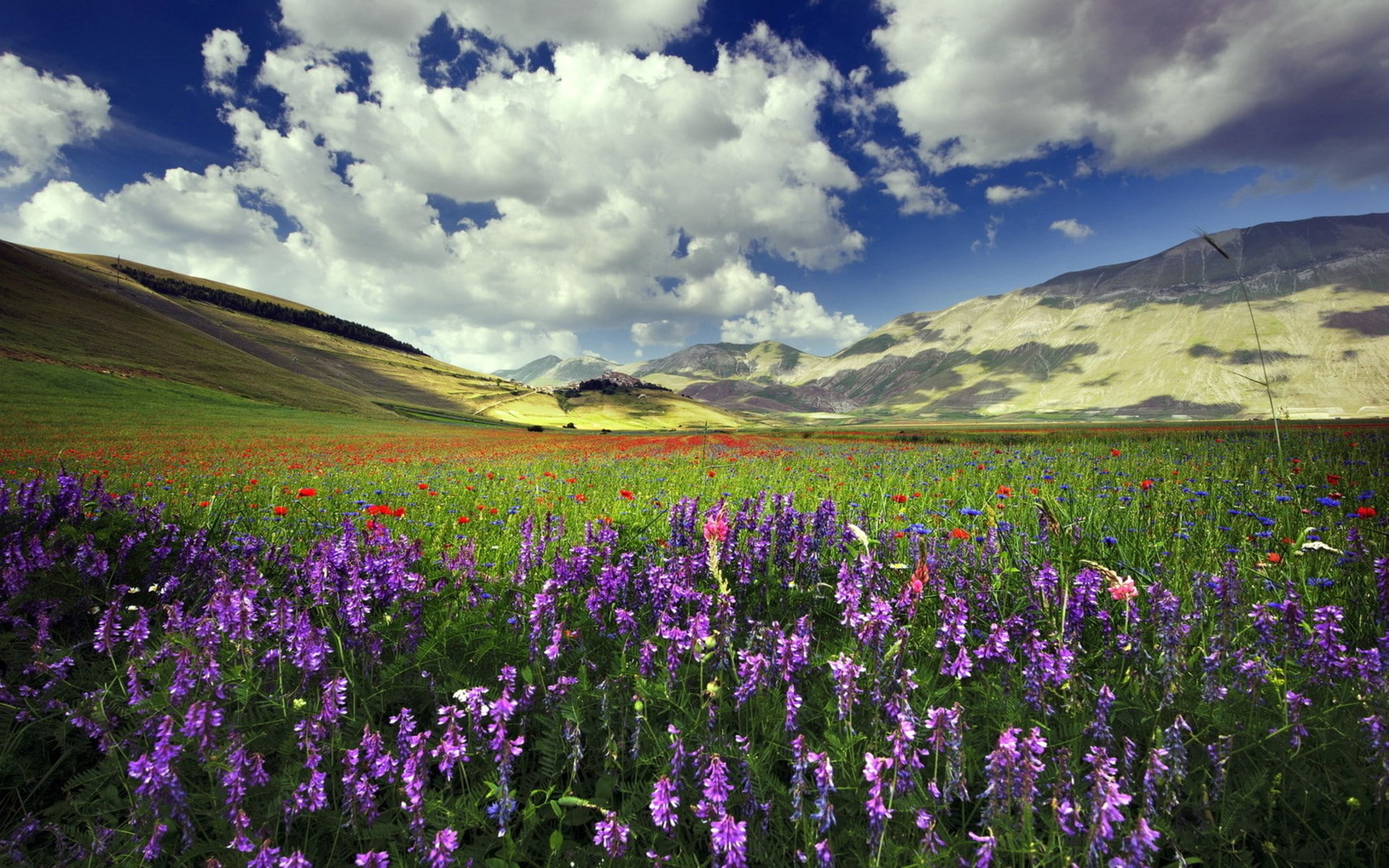 pc  nature 1920x1200, 1080P, HD Wallpaper