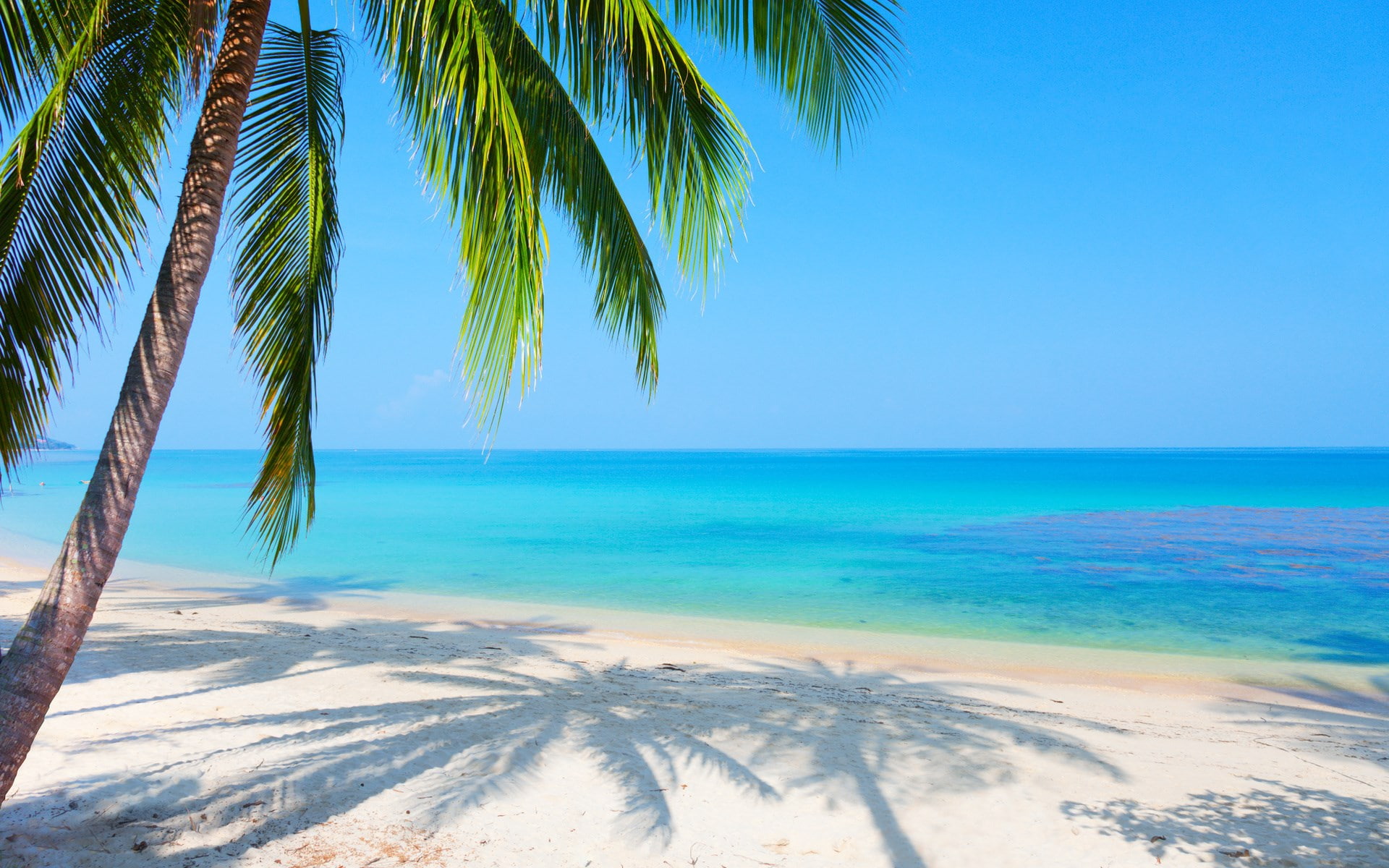 pc  in nature 1920x1200, 1080P, HD Wallpaper