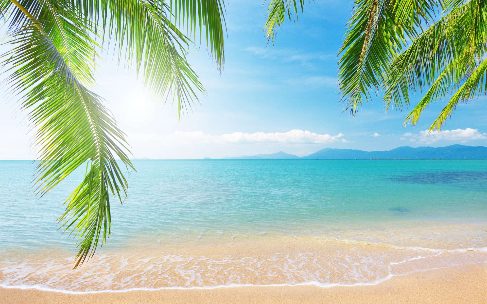 palm leaf, tranquil scene, leaf, water, turquoise colored, coconut palm tree, land, tropical tree, sand, sea, horizon, palm tree, 1080P, tree, no people, HD Wallpaper