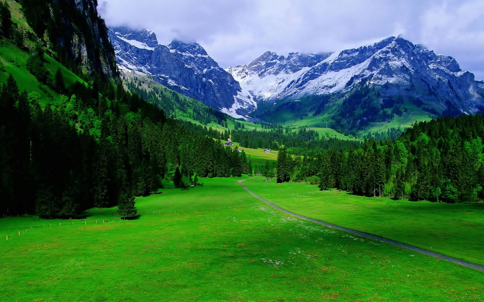 tranquility, pine tree, no people, land, sky, landscape, mountain range, scenics - nature, plant, grass, mountain peak, environment, coniferous tree, nature, HD Wallpaper