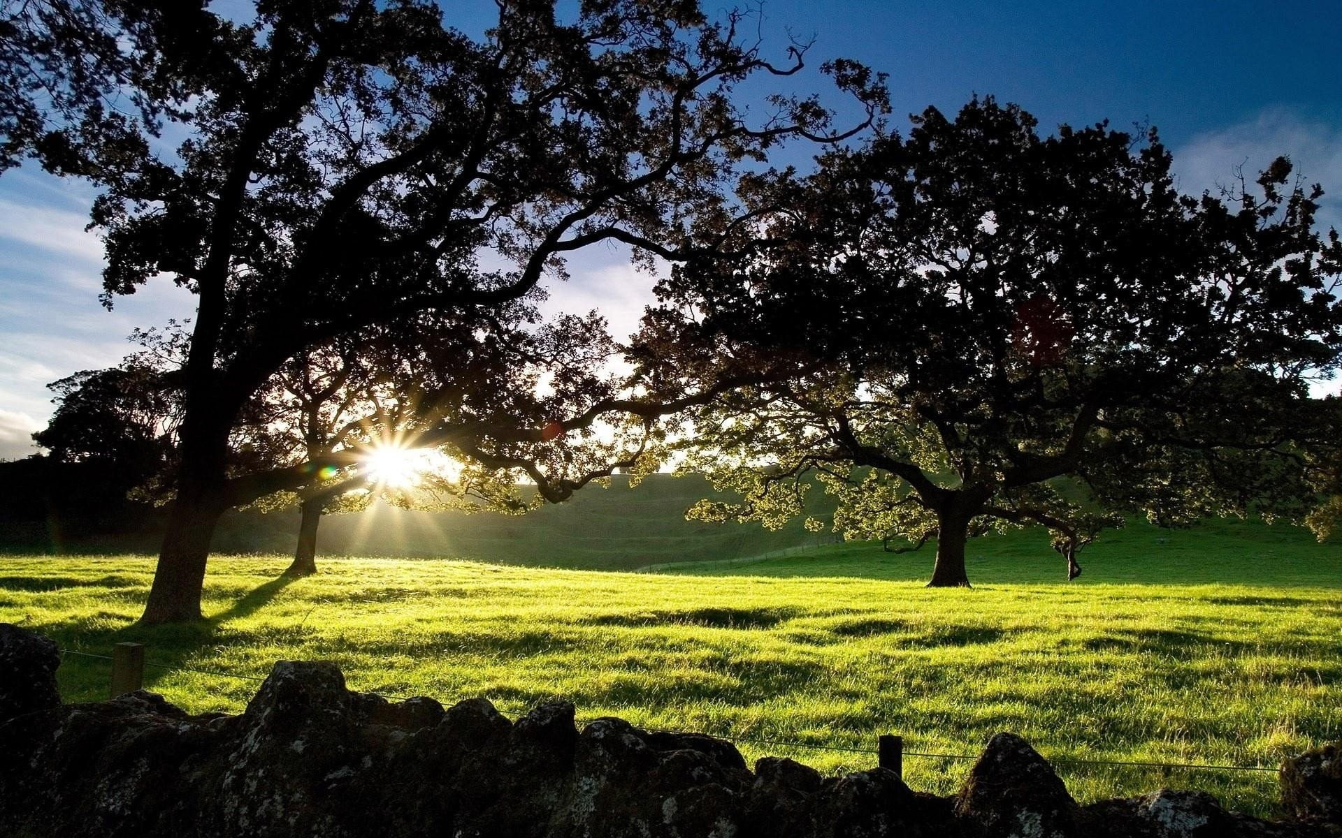 1080P, pc  in nature 1920x1200, HD Wallpaper