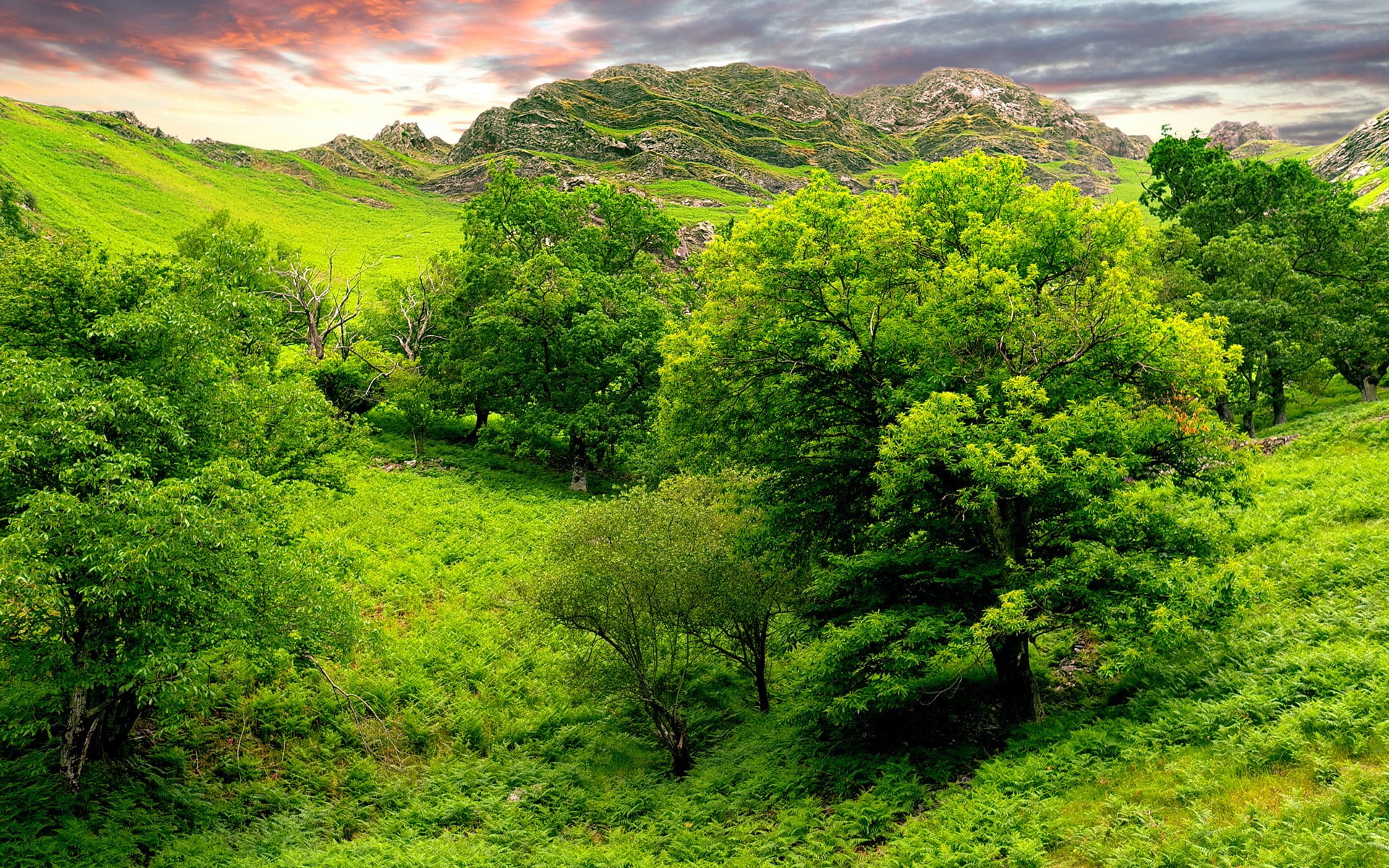 nature pictures for pc 1920x1200, 1080P, HD Wallpaper