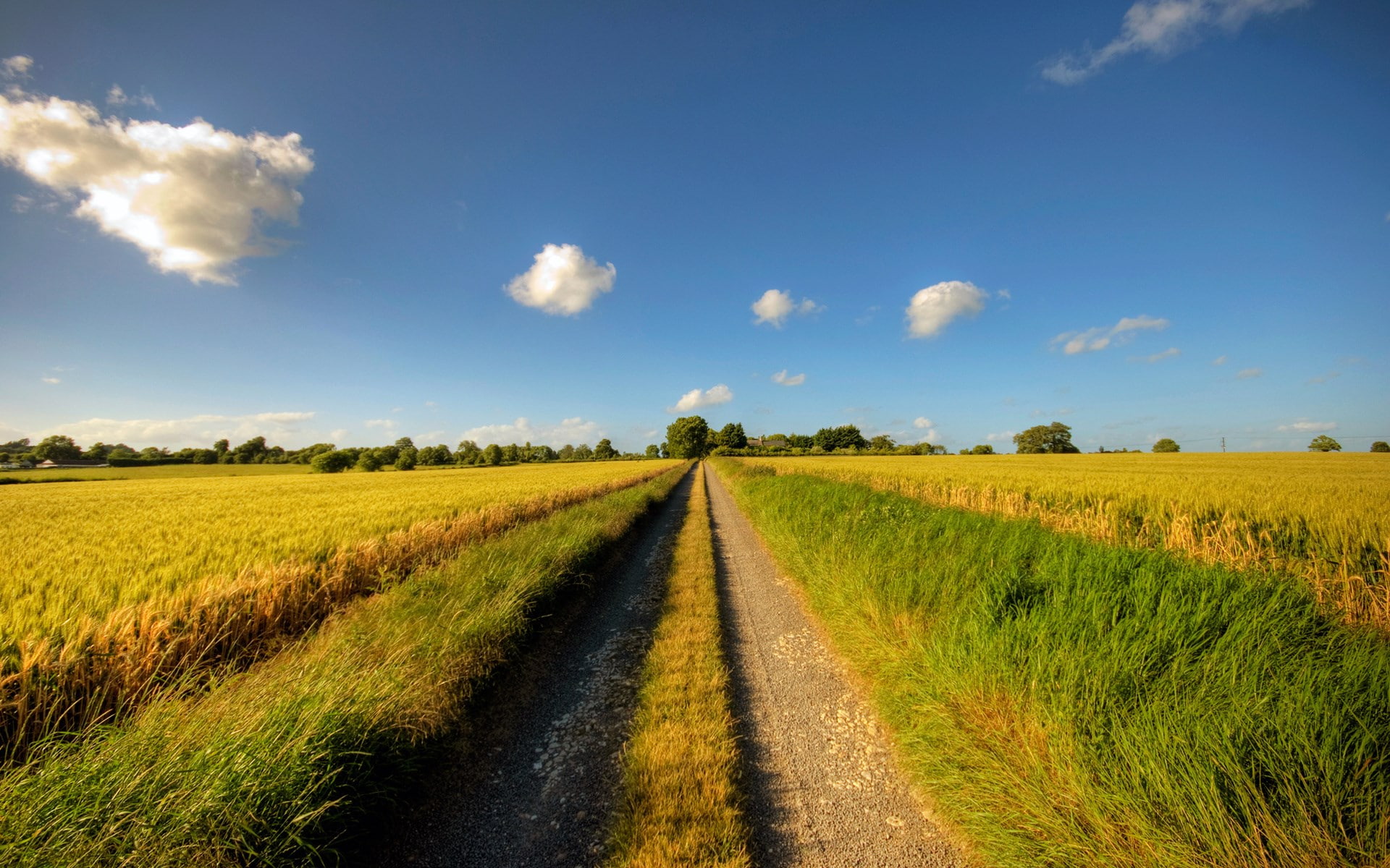 tranquility, plant, sky, direction, no people, field, land, rural scene, tranquil scene, road, landscape, sunlight, scenics - nature, cloud - sky, environment, HD Wallpaper