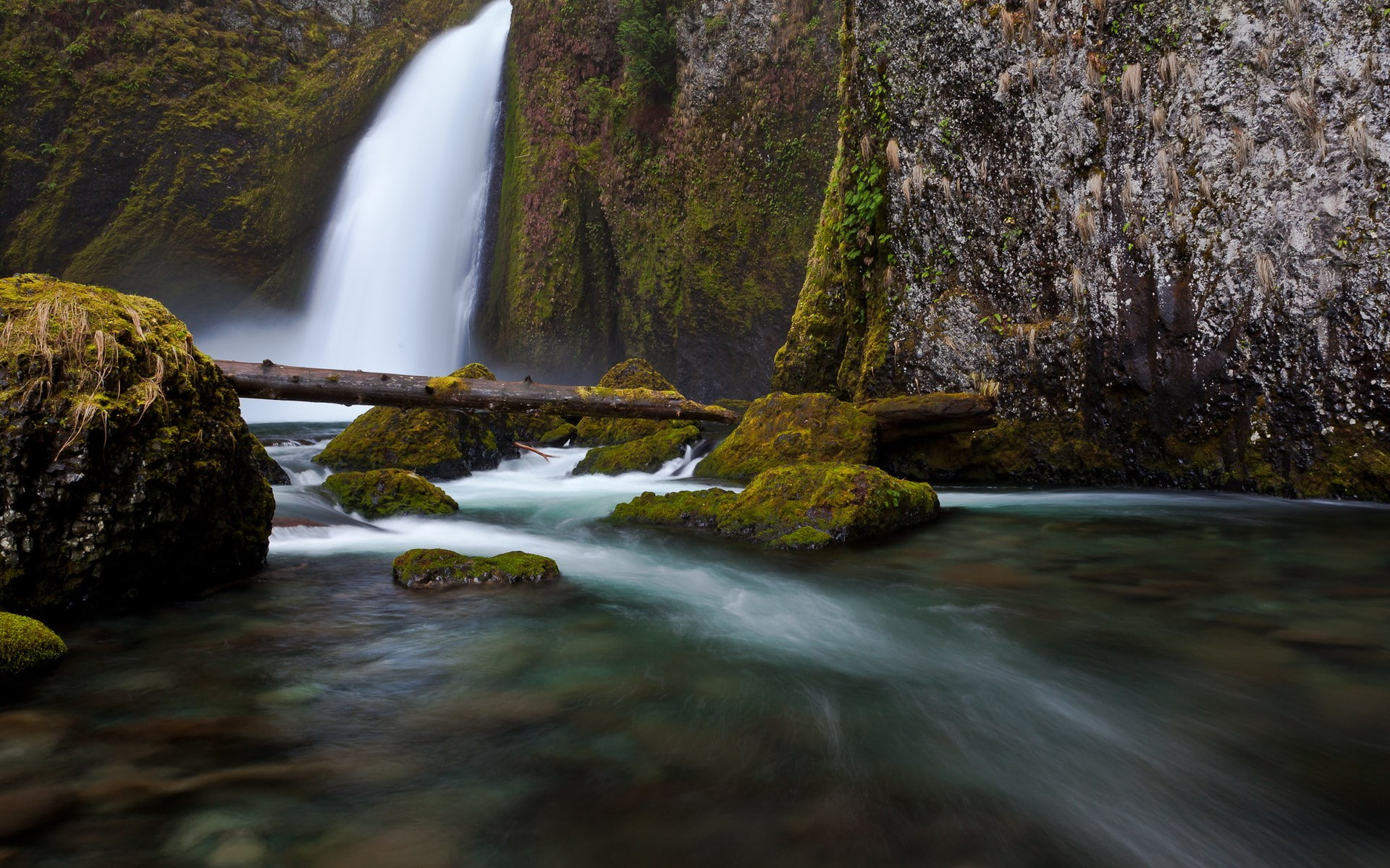 falling water, flowing, 1080P, rock - object, non-urban scene, motion, blurred motion, waterfall, forest, full hd nature  1080p desktop  1920x1200, outdoors, HD Wallpaper