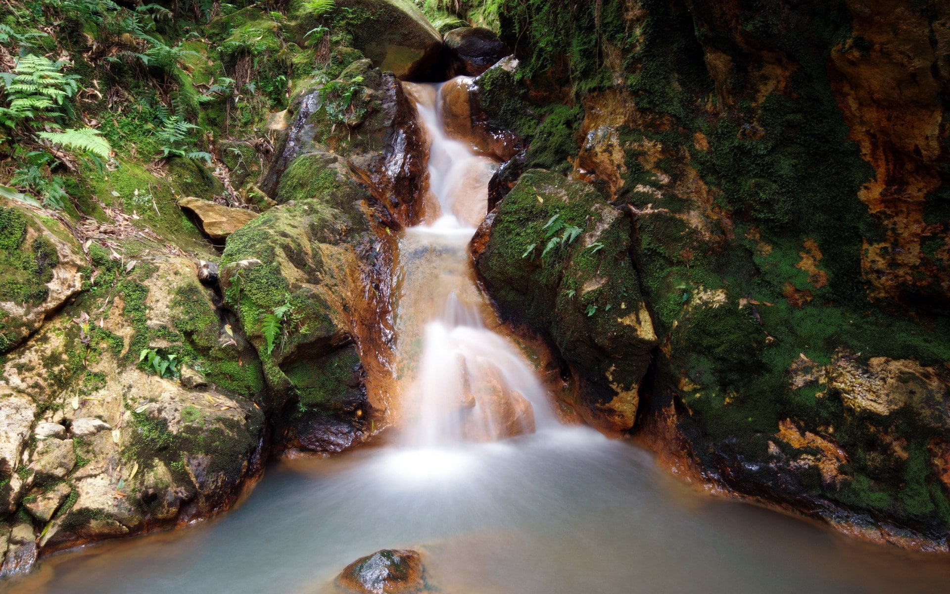 1080P, full hd nature  1080p desktop  1920x1200, HD Wallpaper