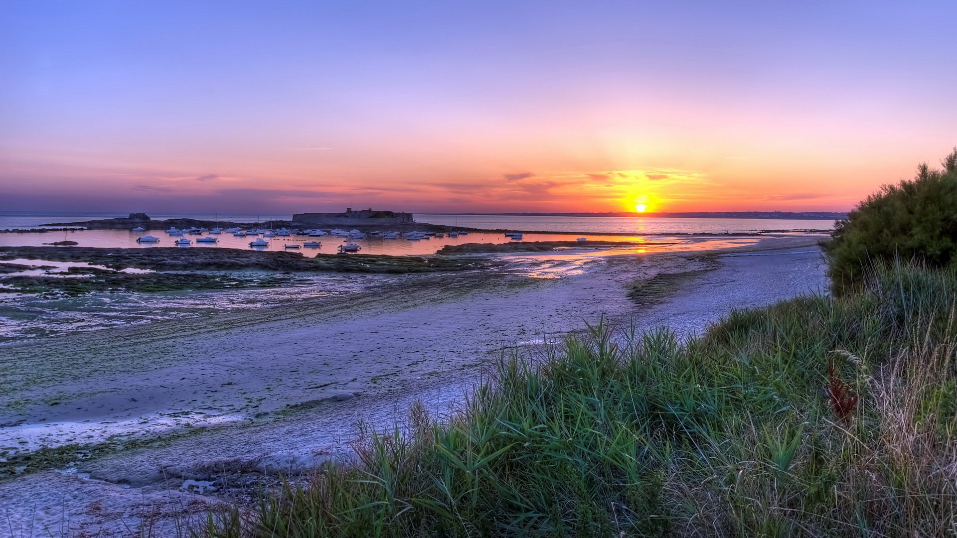 1080P, download nature  for pc 1920x1080, HD Wallpaper