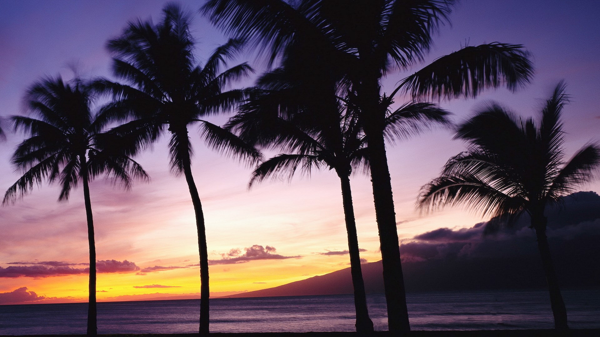 1080P, download nature  for pc 1920x1080, HD Wallpaper