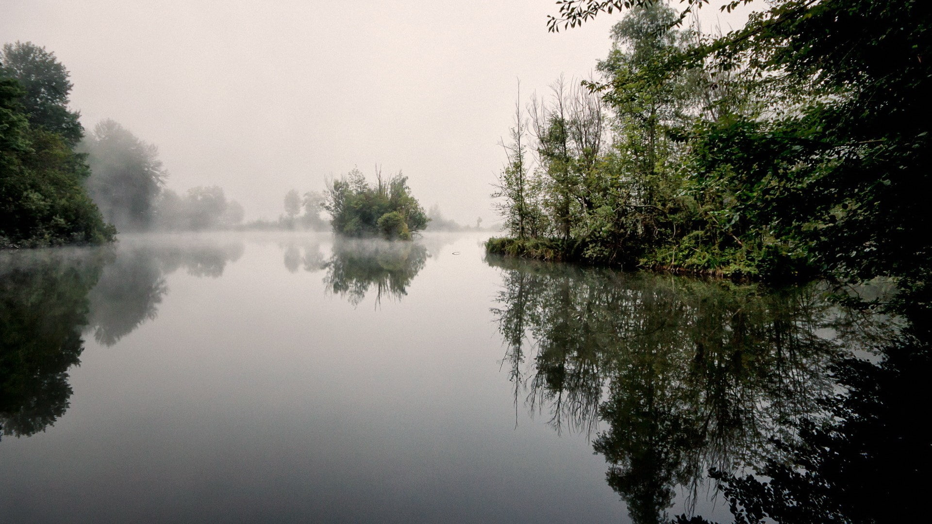 growth, scenics - nature, tree, plant, fog, idyllic, tranquil scene, sky, reflection, 1080P, nature full hd image 1920x1080, non-urban scene, outdoors, HD Wallpaper