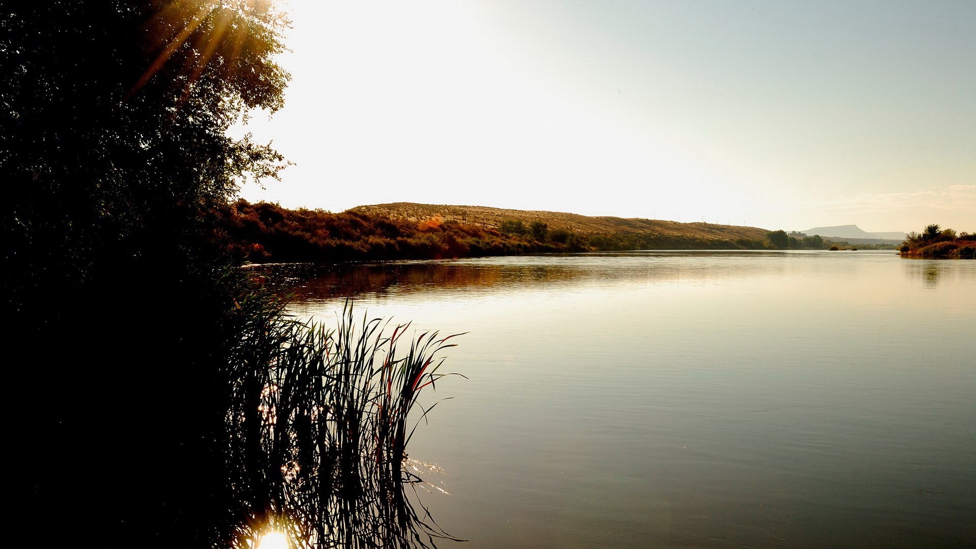 1080P, nature full hd image 1920x1080, HD Wallpaper