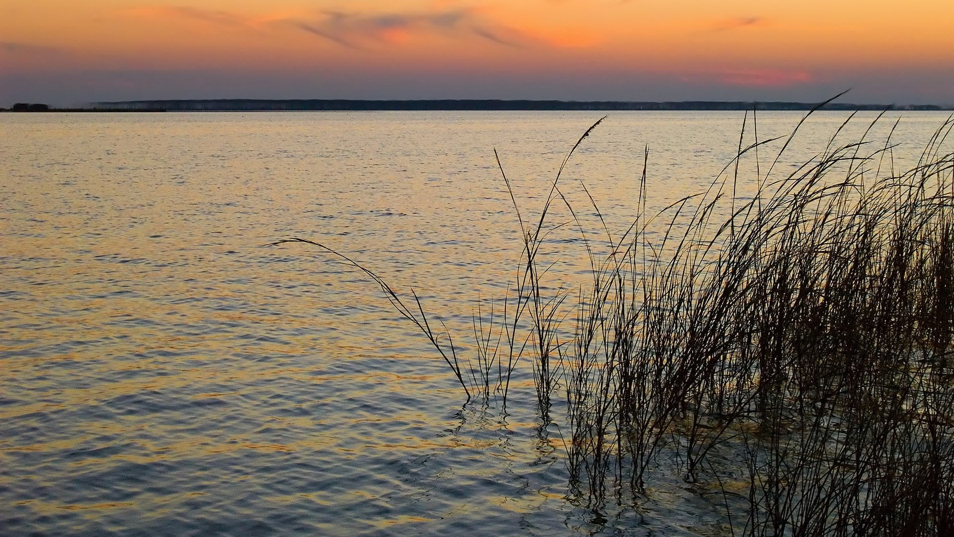 non-urban scene, rippled, horizon, land, idyllic, scenics - nature, beach, sky, 1080P, nature, water, beauty in nature, sea, horizon over water, plant, HD Wallpaper