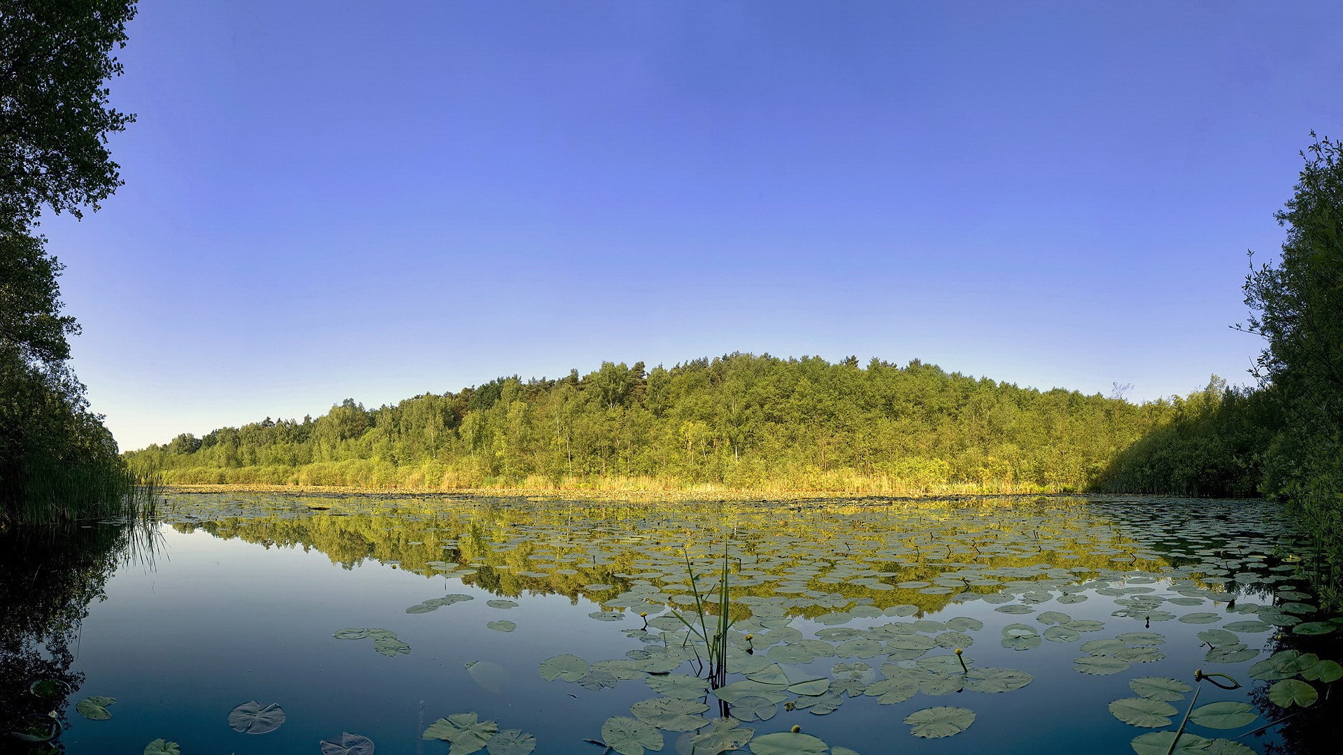 1080P, nature full hd image 1920x1080, HD Wallpaper