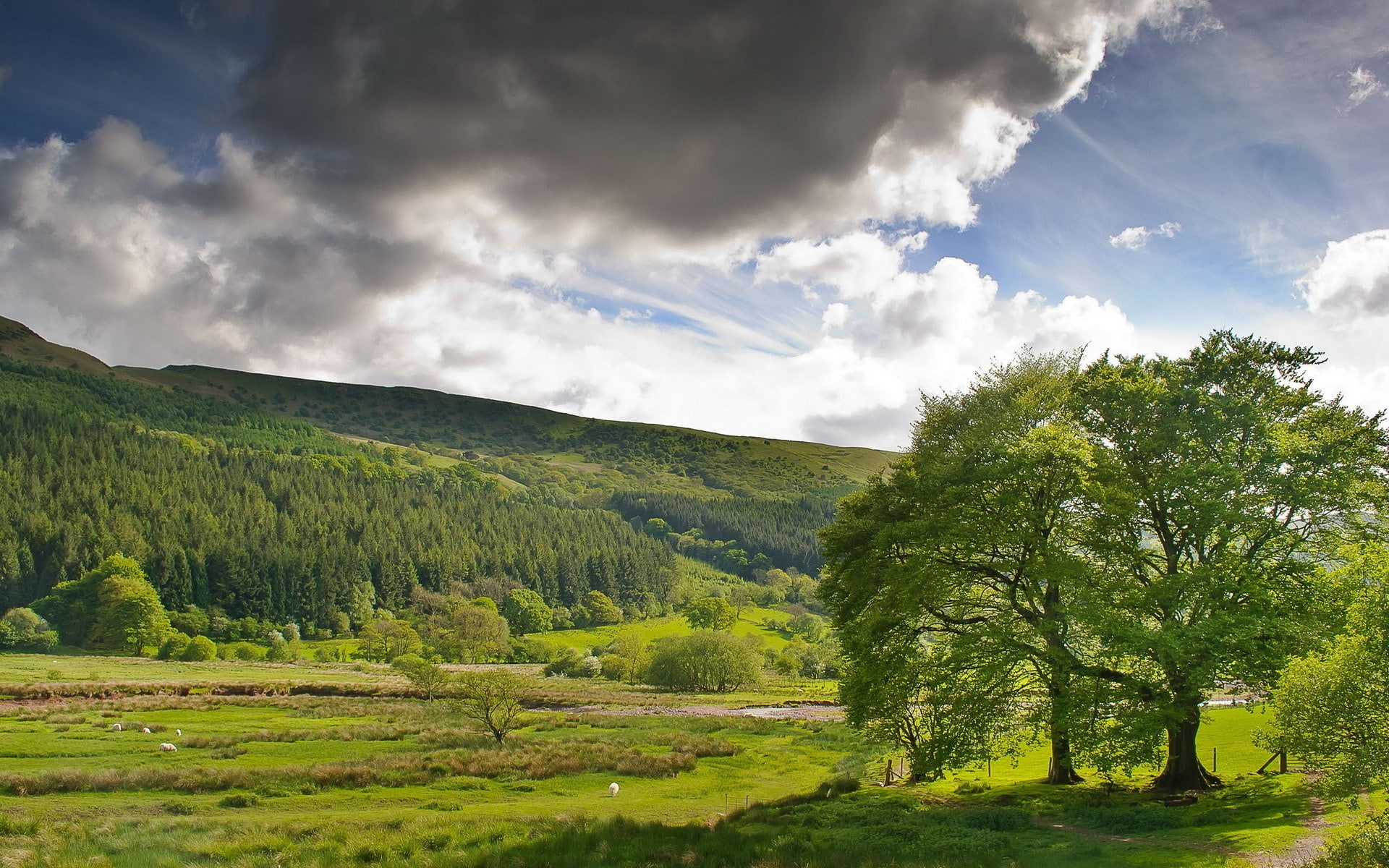 sky, day, full hd nature backgrounds 1920x1200, scenics - nature, idyllic, land, plant, outdoors, mountain, nature, tree, tranquil scene, cloud - sky, tranquility, HD Wallpaper