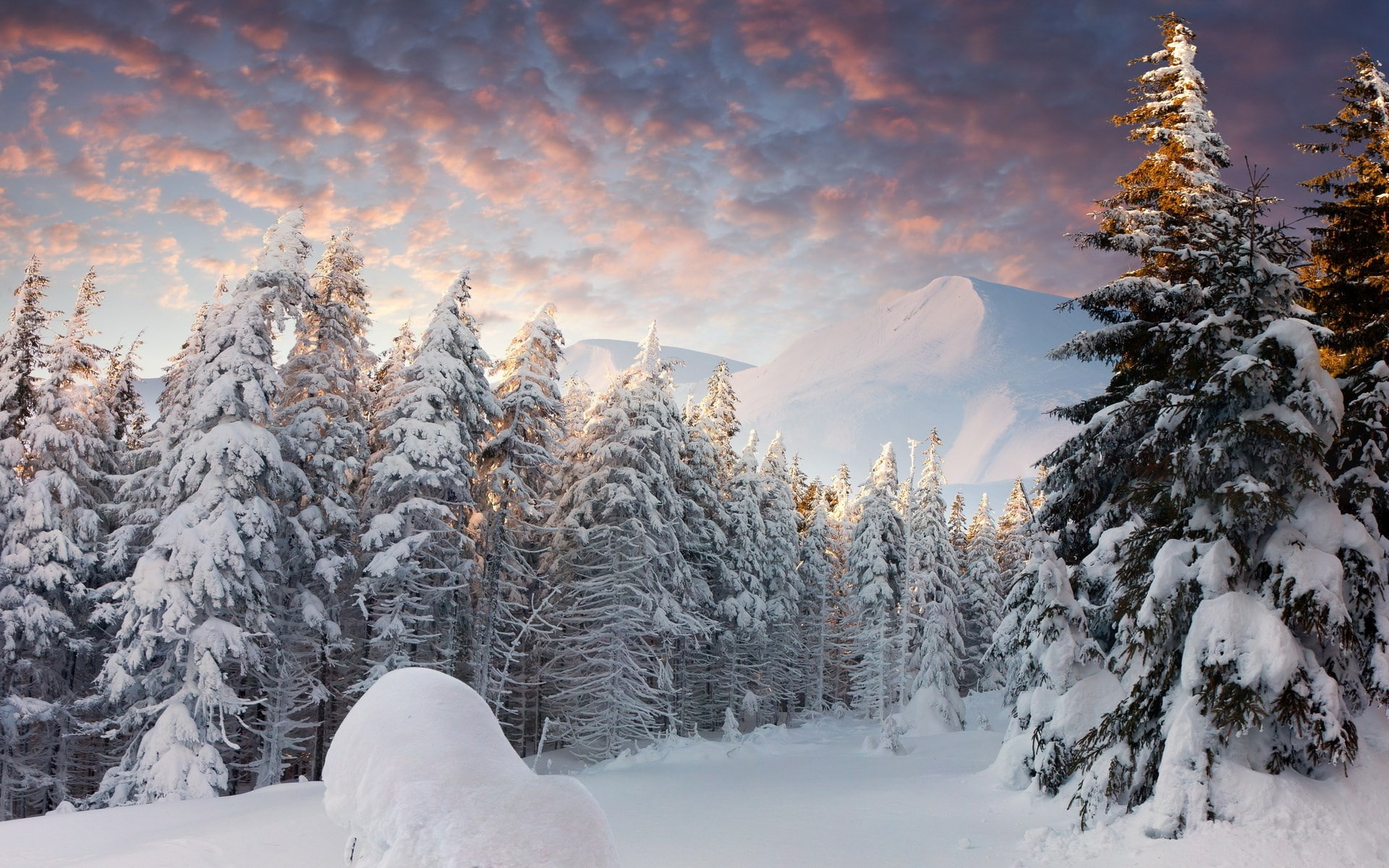 1080P, full hd nature backgrounds 1920x1200, HD Wallpaper