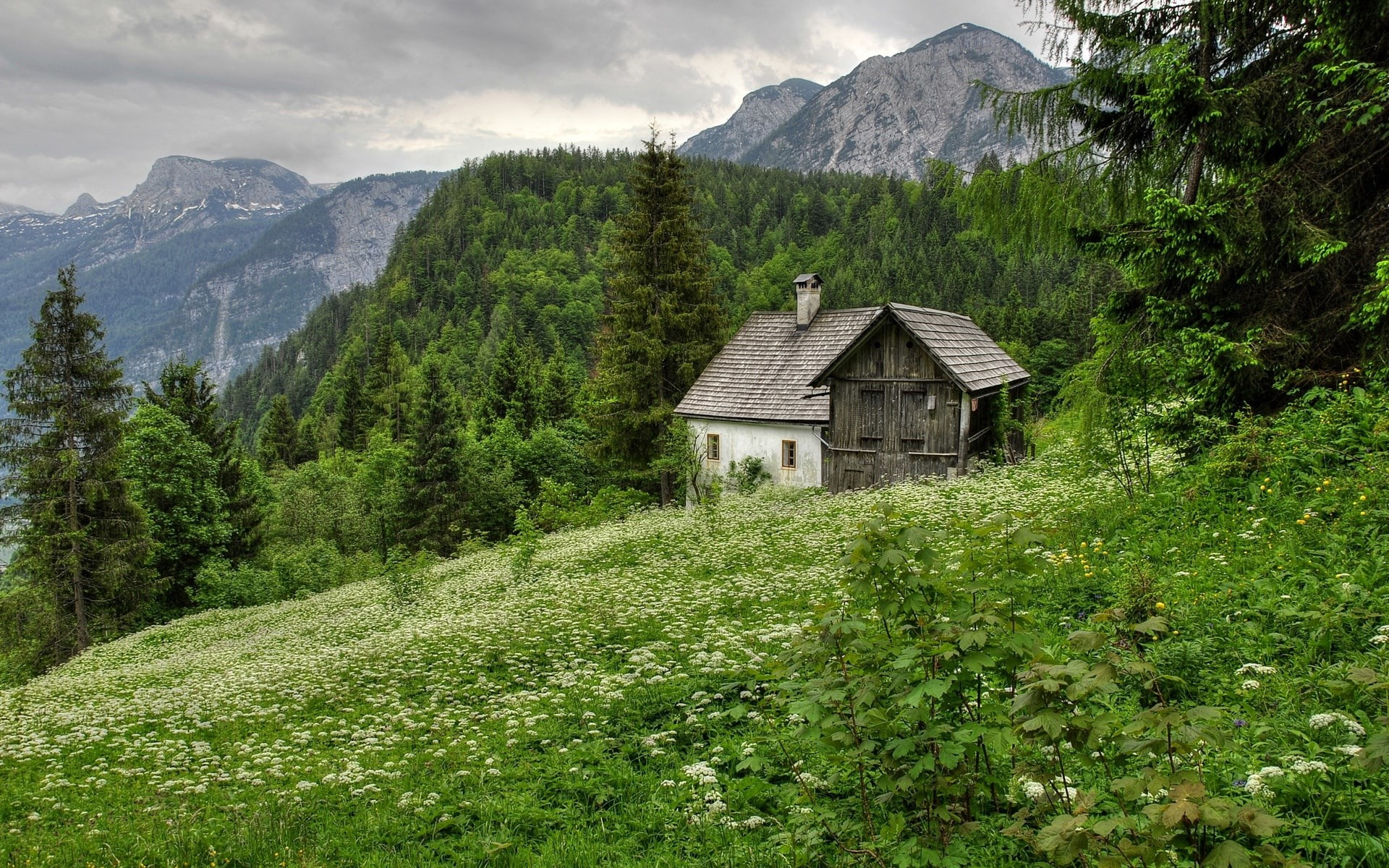 environment, beauty in nature, house, cottage, land, sky, tree, building, grass, building exterior, growth, landscape, mountain, outdoors, built structure, HD Wallpaper