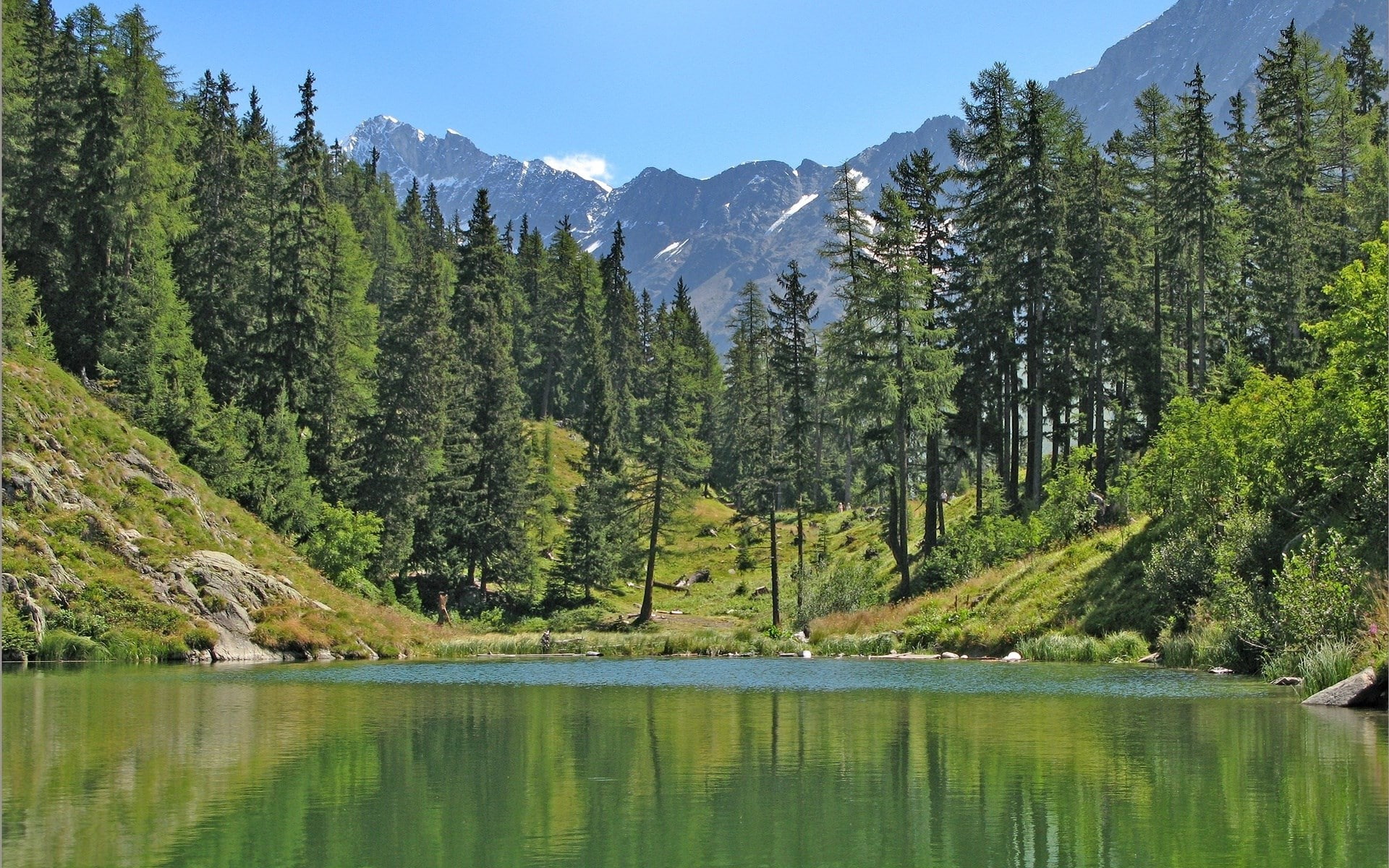 tranquility, waterfront, outdoors, nature, pine tree, land, woodland, scenics - nature, green color, no people, tranquil scene, reflection, tree, mountain, HD Wallpaper