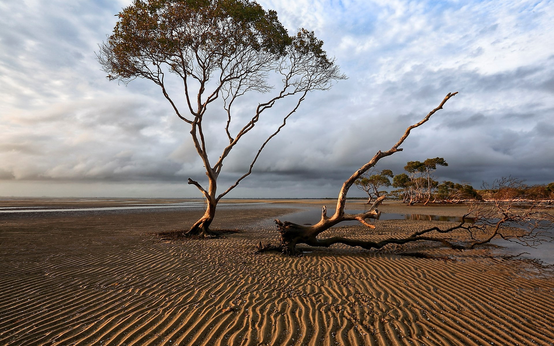 download full size nature  1920x1200, 1080P, HD Wallpaper
