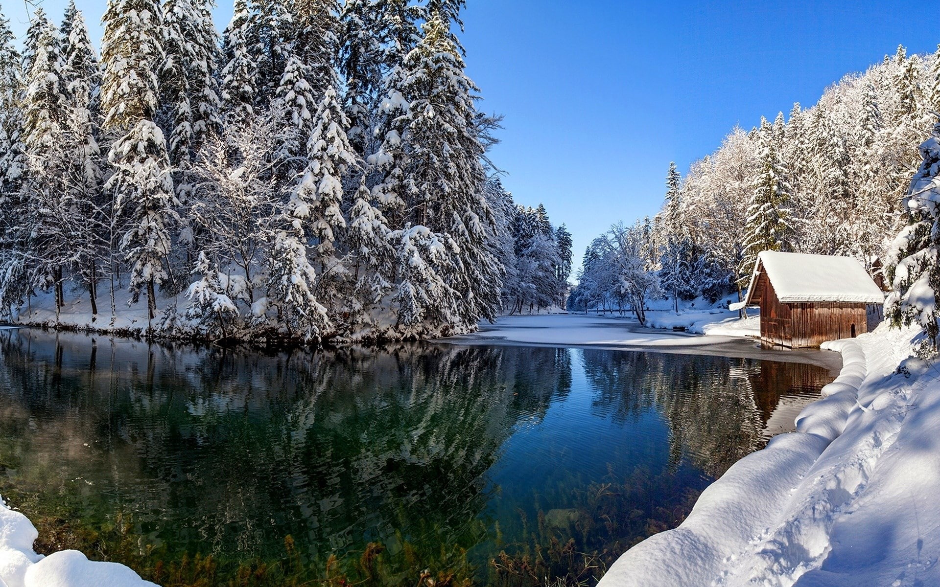 plant, cold temperature, tree, scenics - nature, beauty in nature, outdoors, sky, reflection, idyllic, no people, 1080P, snow, pine tree, download full size nature  1920x1200, HD Wallpaper
