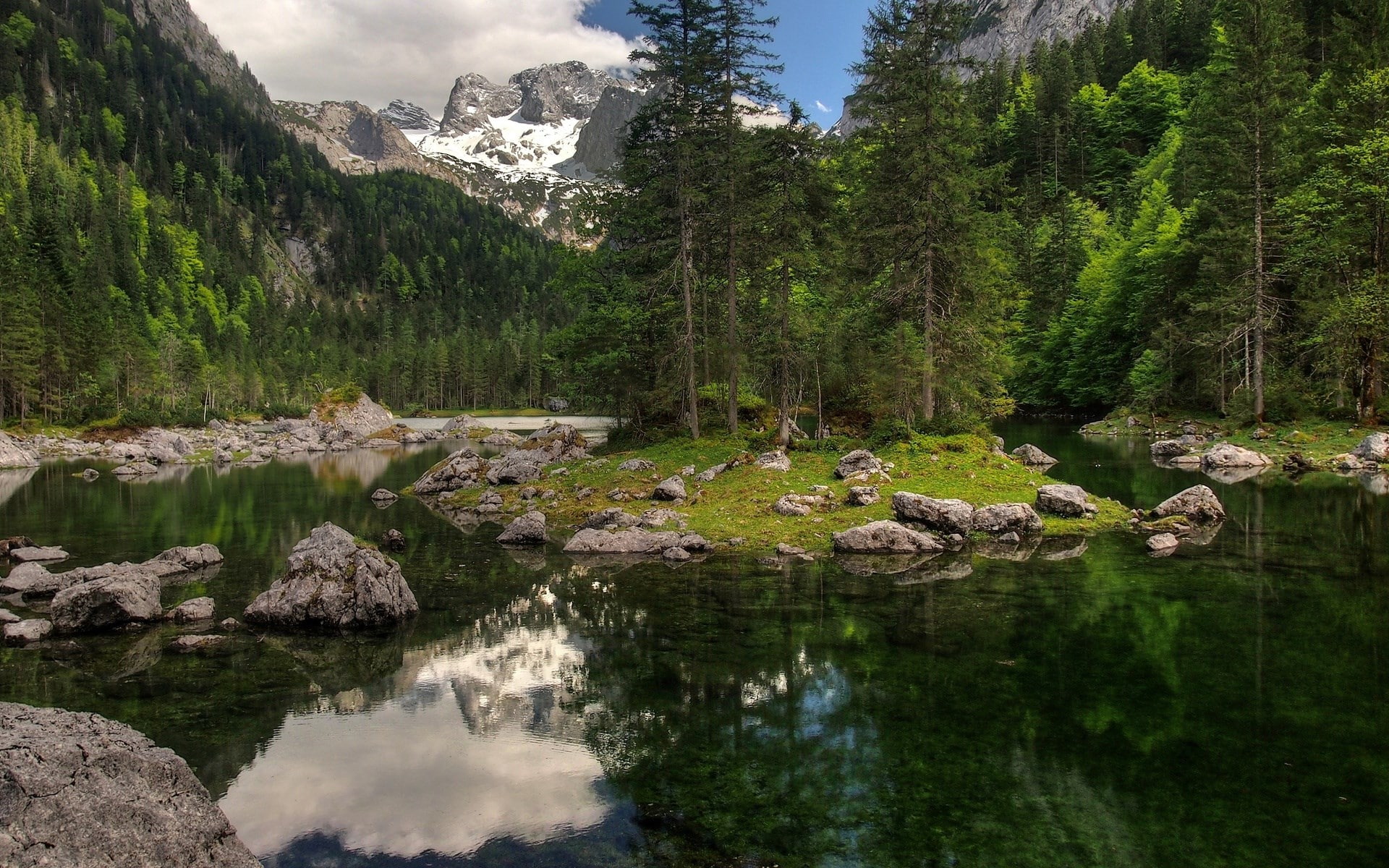 plant, flowing, rock - object, solid, no people, non-urban scene, tranquility, 1080P, rock, tree, water, green color, reflection, nature, growth, tranquil scene, HD Wallpaper