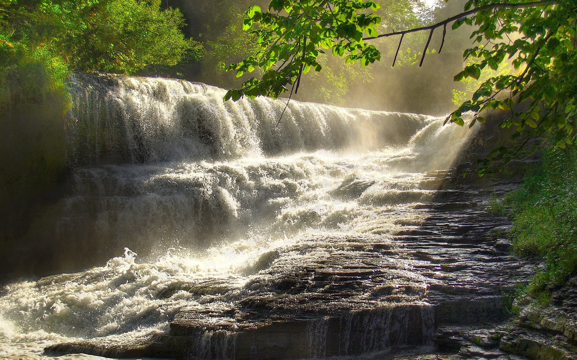 1080P, download full size nature  1920x1200, HD Wallpaper