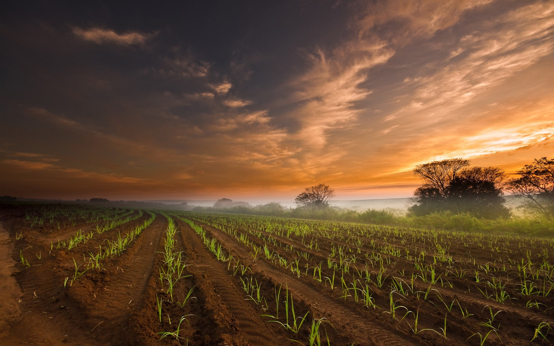 1080P, download full size nature  1920x1200, HD Wallpaper