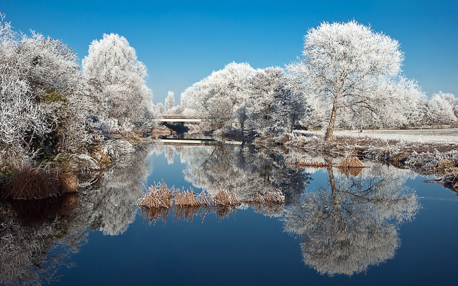 download full size nature  1920x1200, 1080P, HD Wallpaper