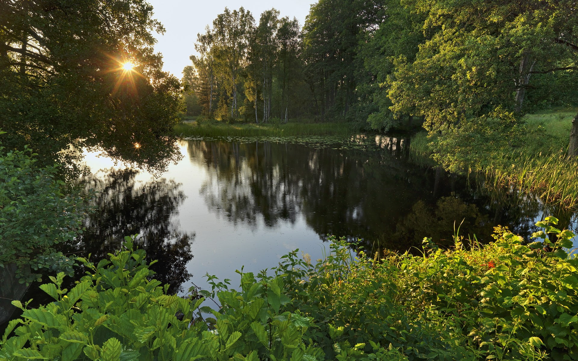 1080P, download full size nature  1920x1200, HD Wallpaper
