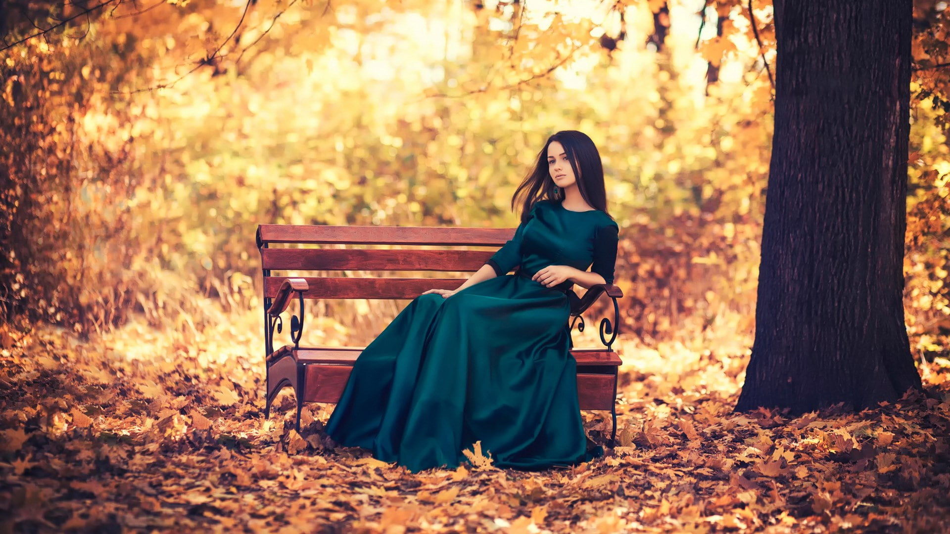 hair, land, one person, autumn, forest, women, 1080P, tree, young adult, young women, pc  girl 1920x1080, beauty, change, nature, beautiful woman, clothing, HD Wallpaper