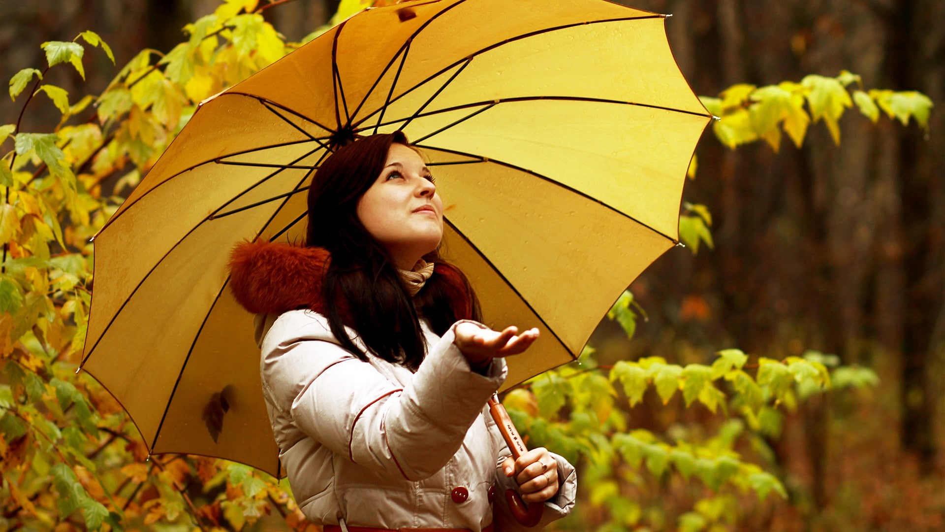 clothing, young adult, umbrella, outdoors, adult, protection, one person, looking, beautiful woman, contemplation, beauty, hairstyle, long hair, pc  girl 1920x1080, HD Wallpaper