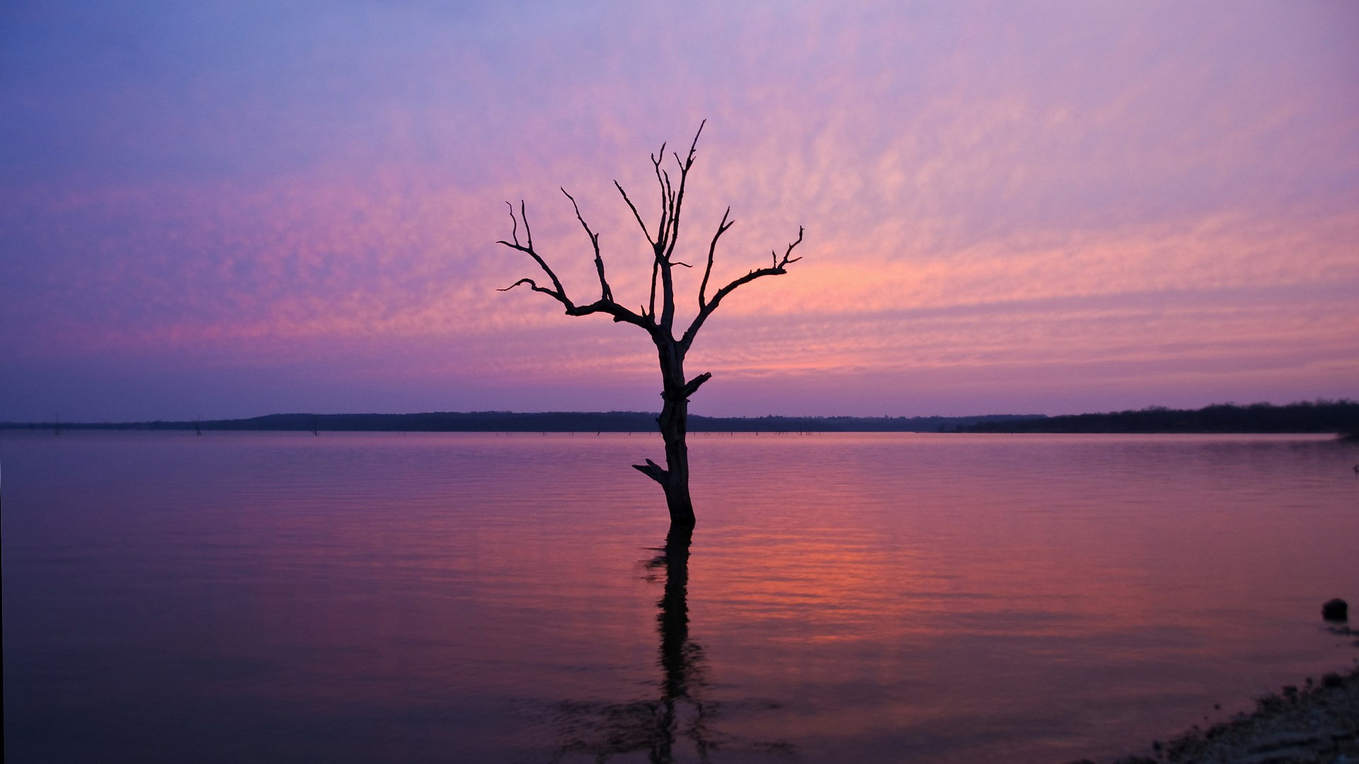 branch, pc  nature hd pictures 1920x1080, sky, tranquil scene, nature, scenics - nature, beauty in nature, outdoors, no people, silhouette, reflection, HD Wallpaper