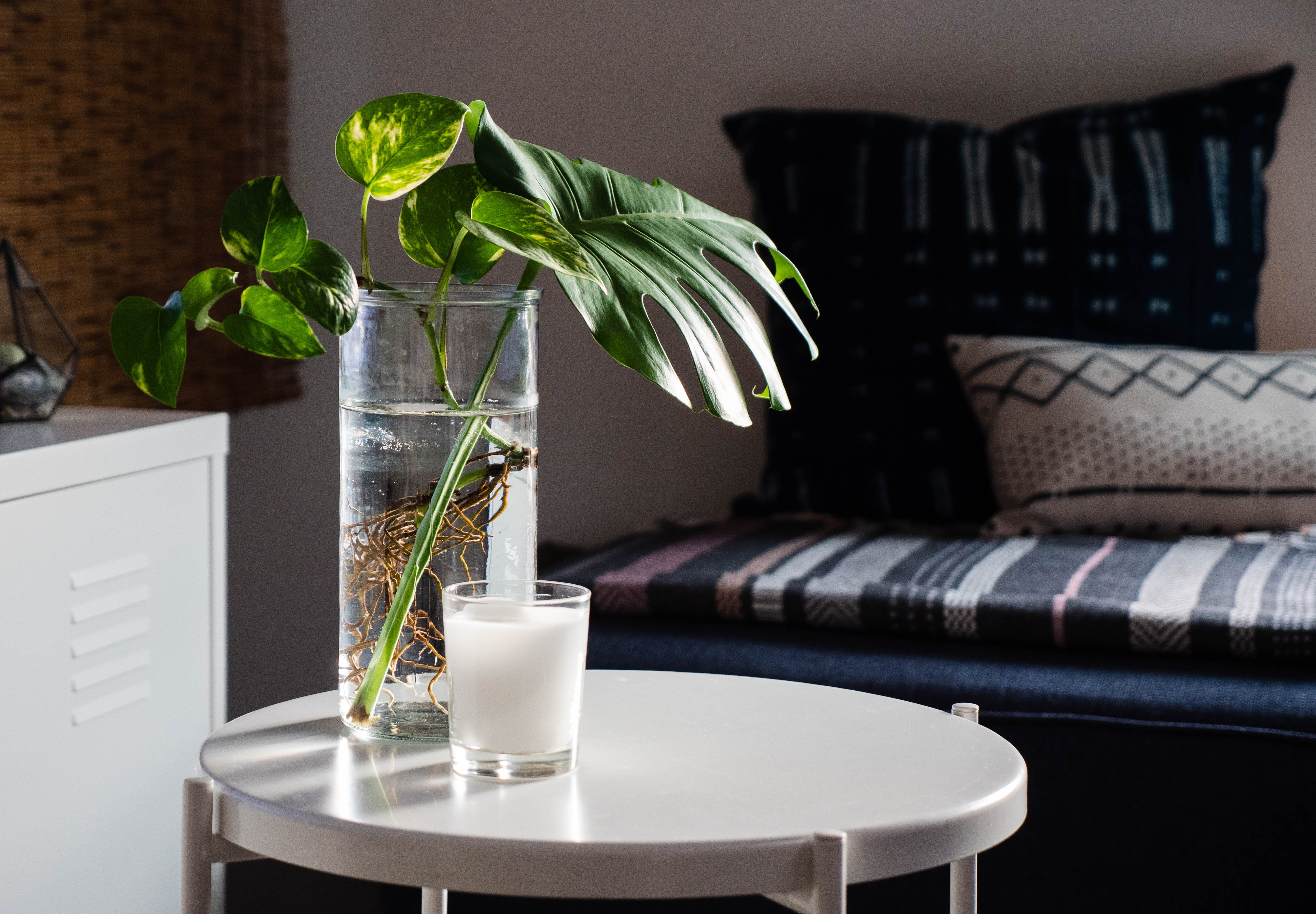 coffee, plant, domestic room, food and drink, refreshment, herb, coffee table, no people, drinking glass, glass, potted plant, furniture, swiss, clear, HD Wallpaper