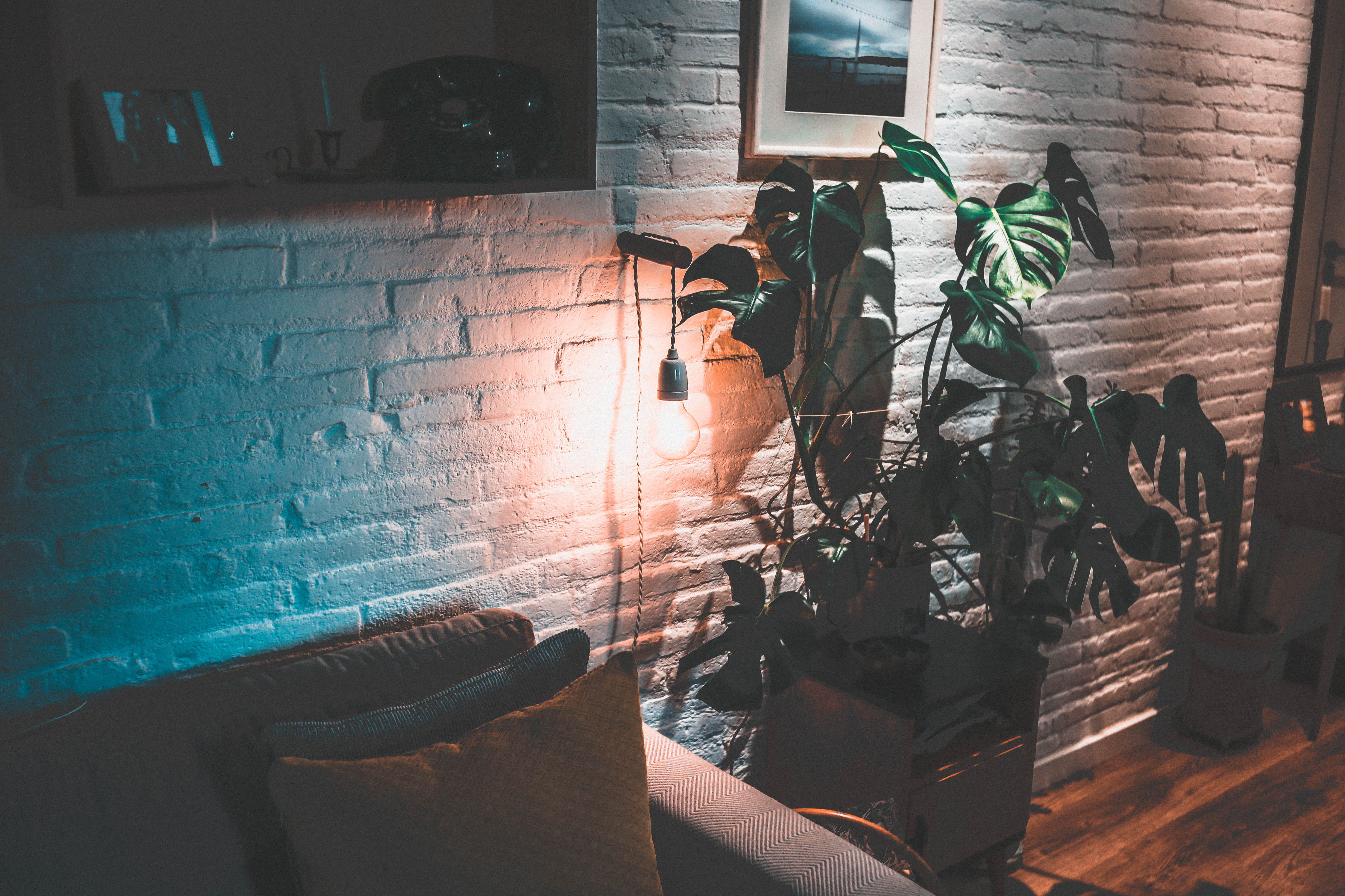 view, cheese, plant, day, brick wall, room, living room, couch, 5K, water, window, spain, no people, nature, barcelona, wall - building feature, lovely, HD Wallpaper